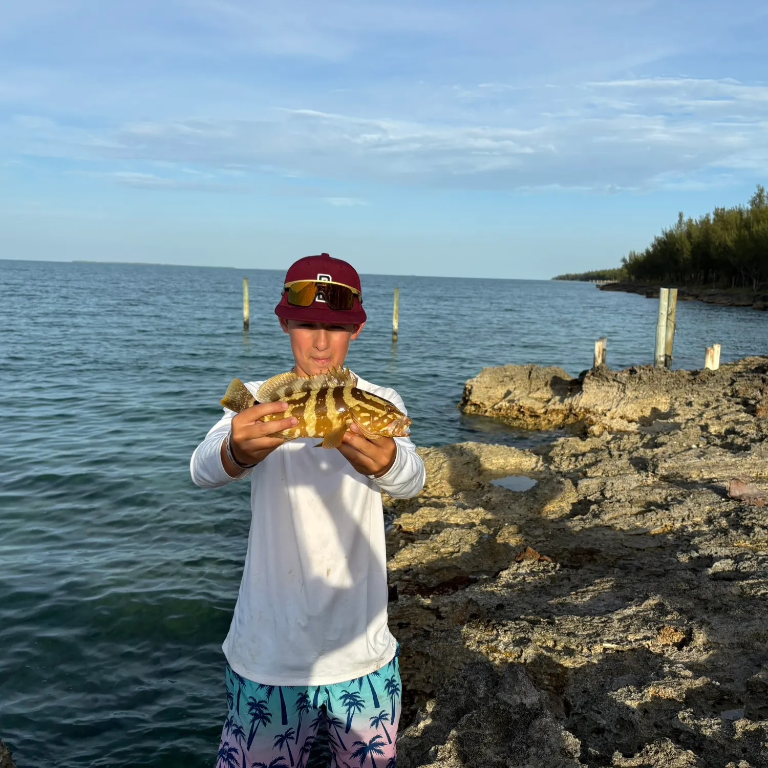 The most recent Rock grouper catches on Fishbrain
