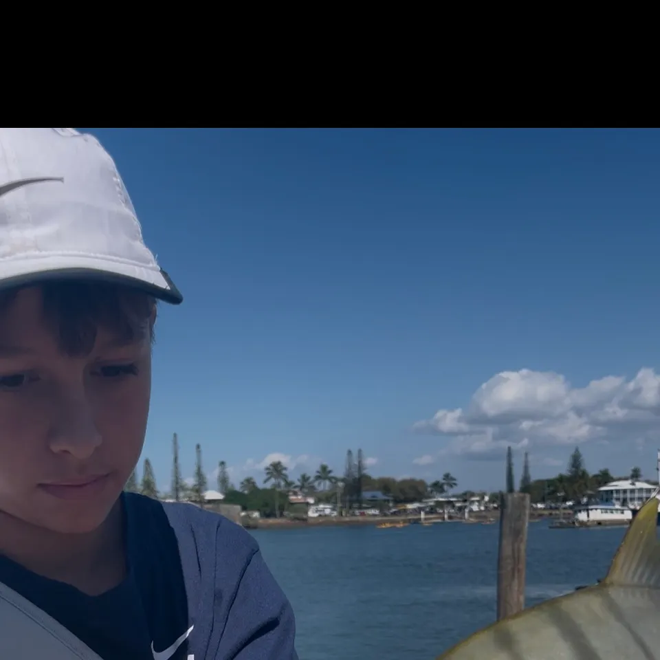 The most recent Golden trevally catches on Fishbrain