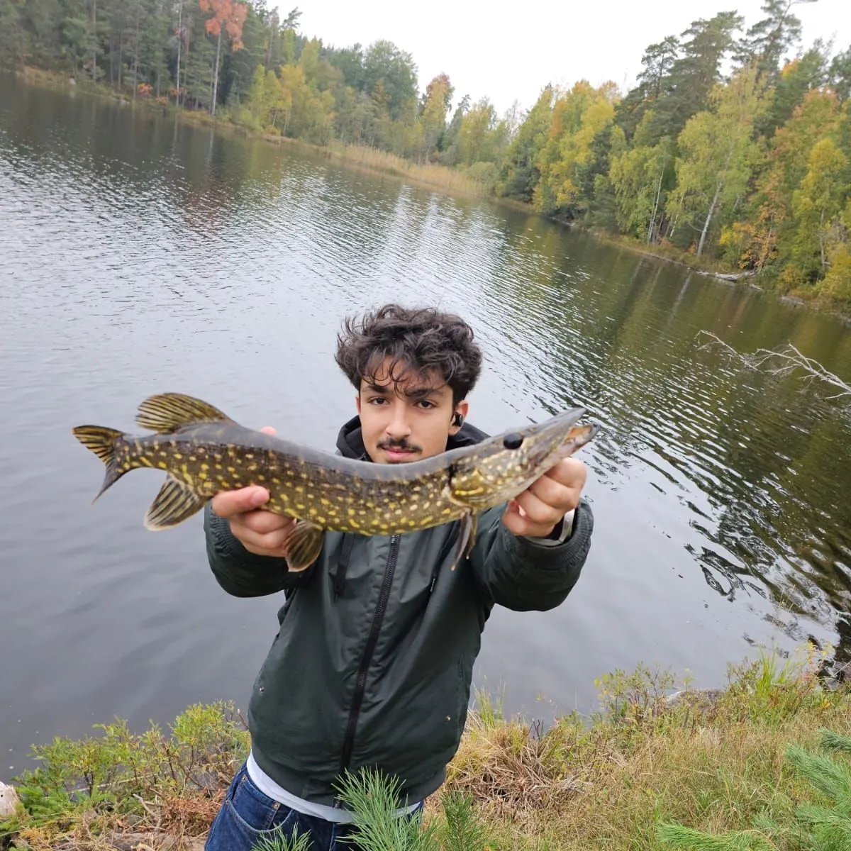 Northern pike caught on Fishbrain