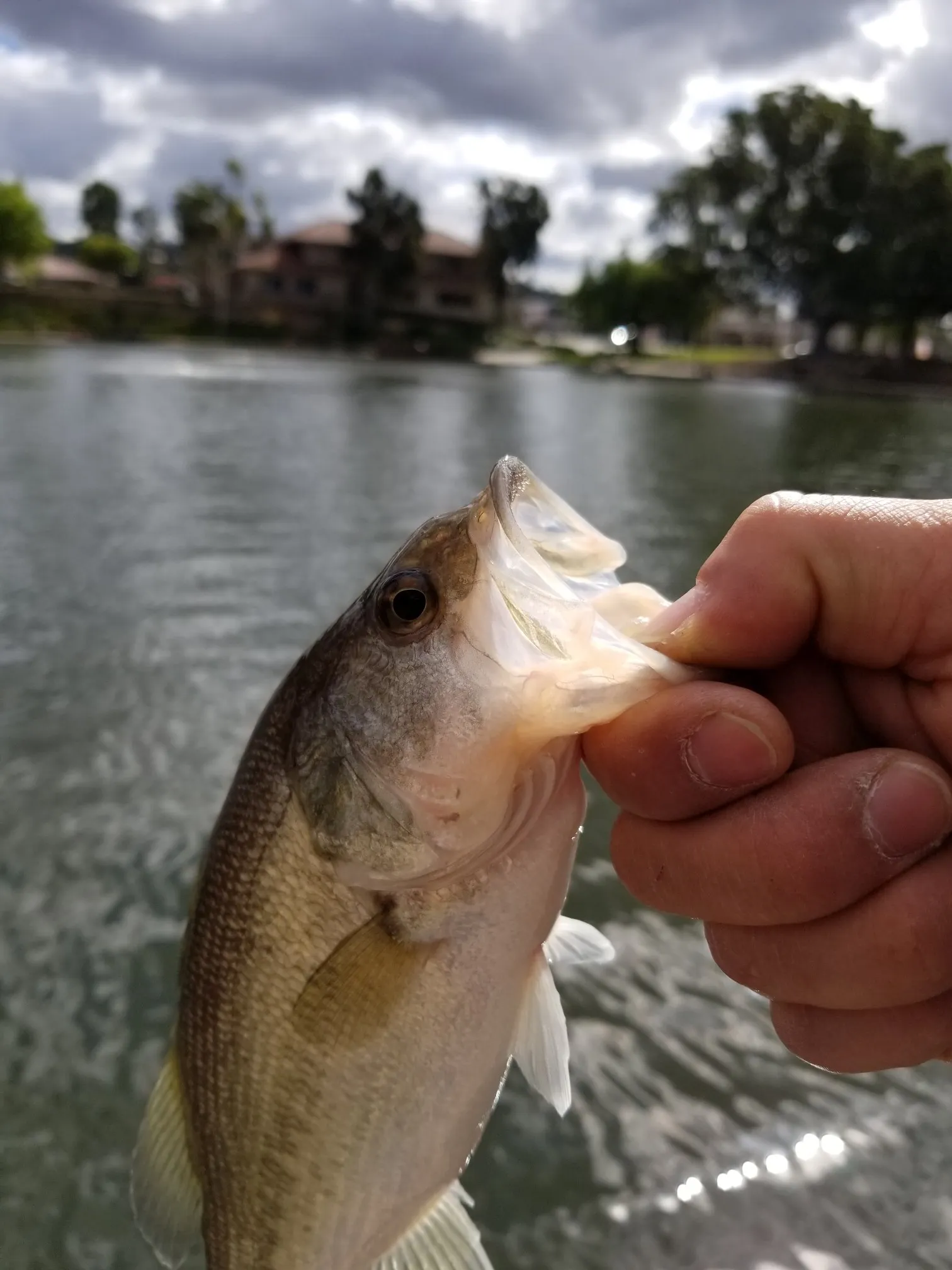 Post image from 96thcast