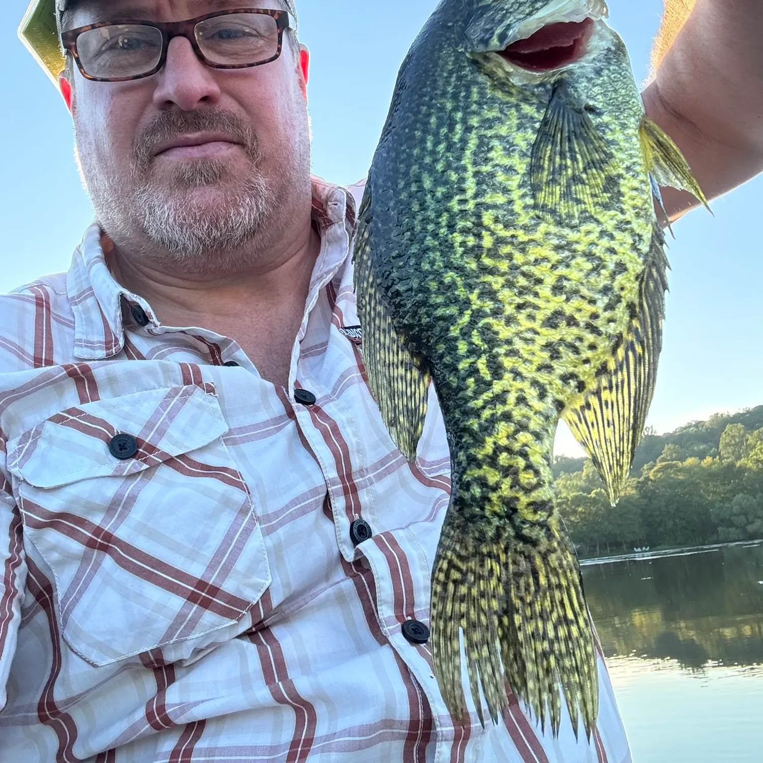 Black crappie caught on Fishbrain