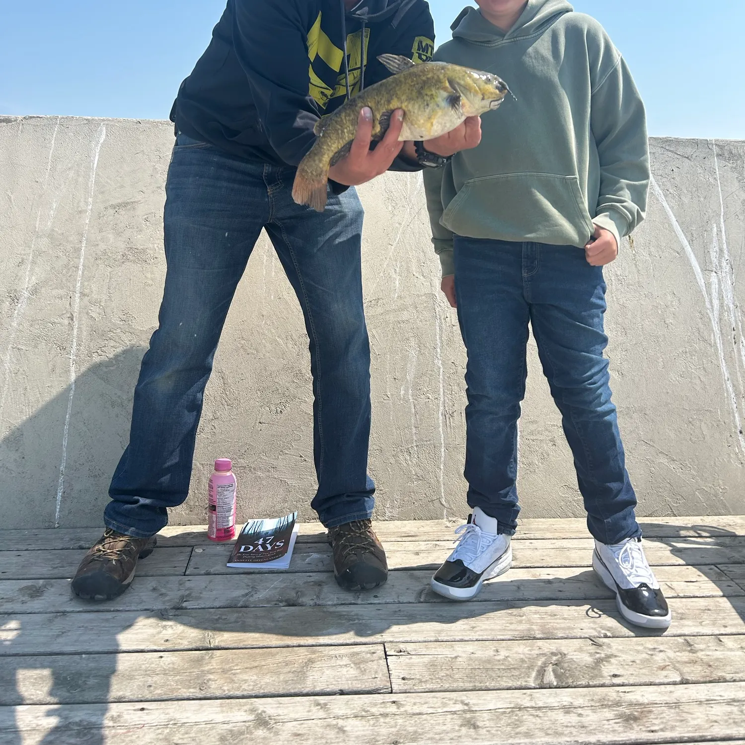 The most recent Brown bullhead catches on Fishbrain
