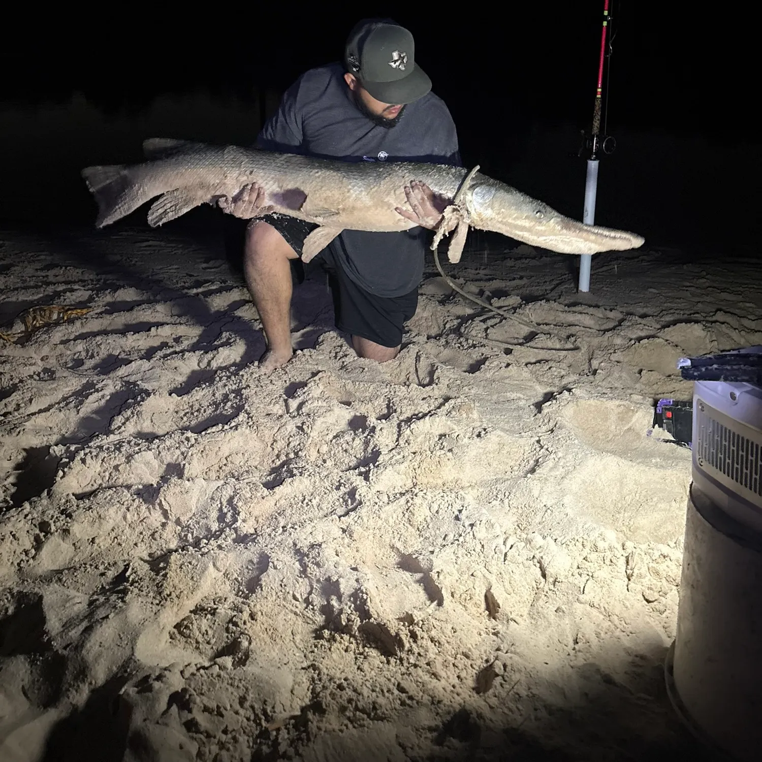 The most recent Alligator gar catches on Fishbrain
