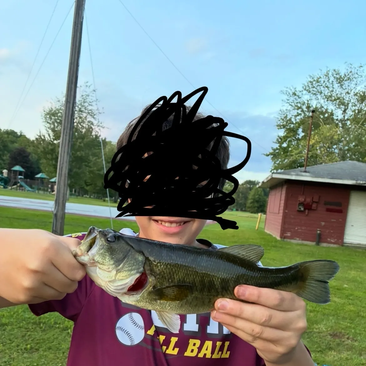 Largemouth bass caught on Fishbrain
