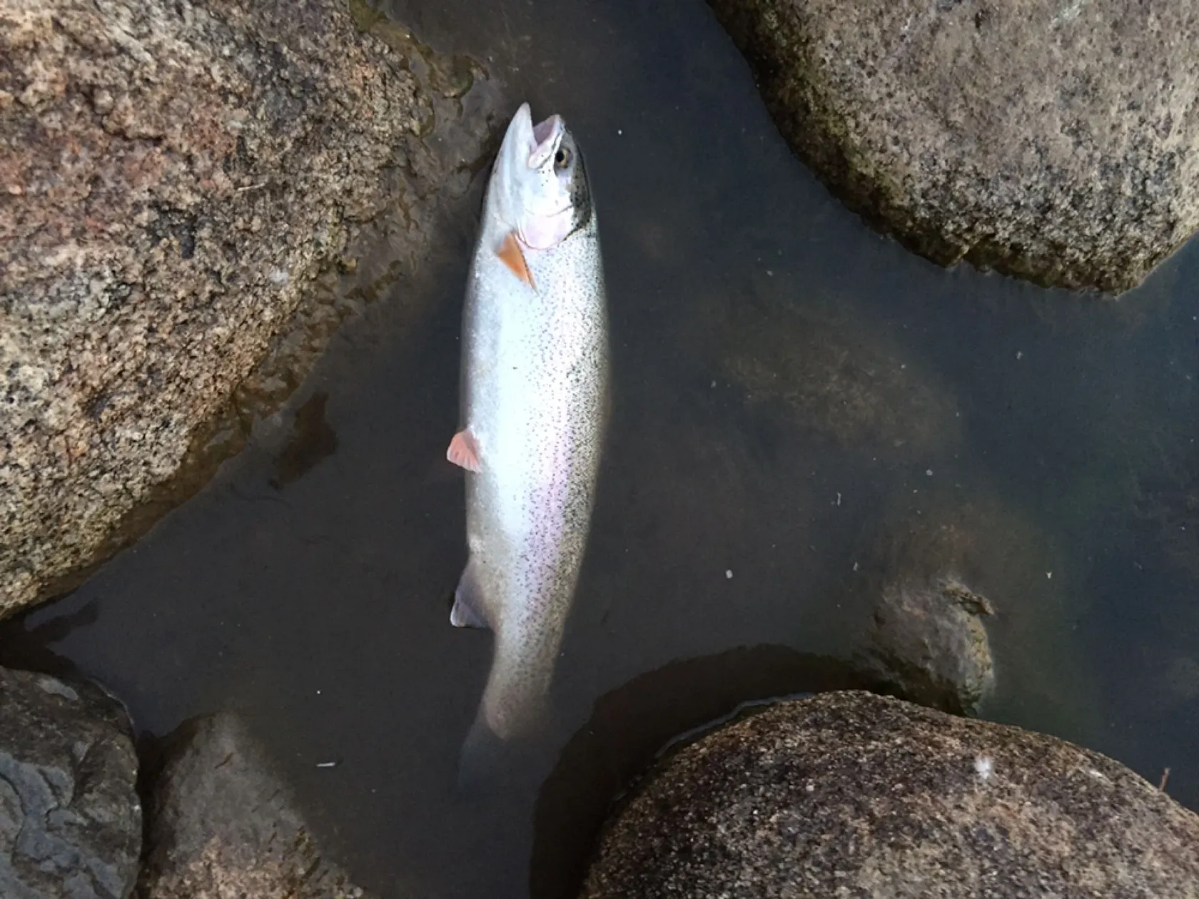 Post image from AgentS19