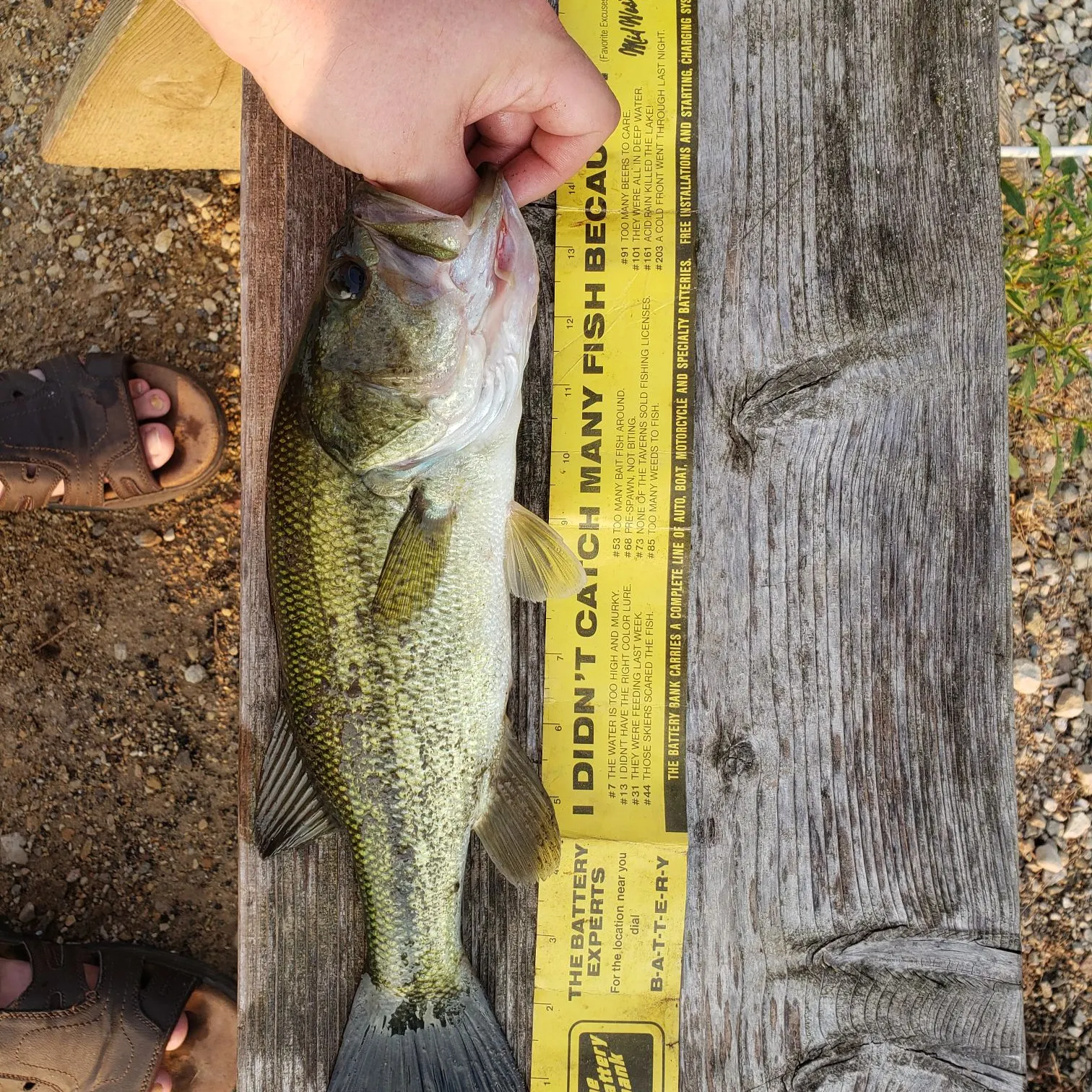 recently logged catches
