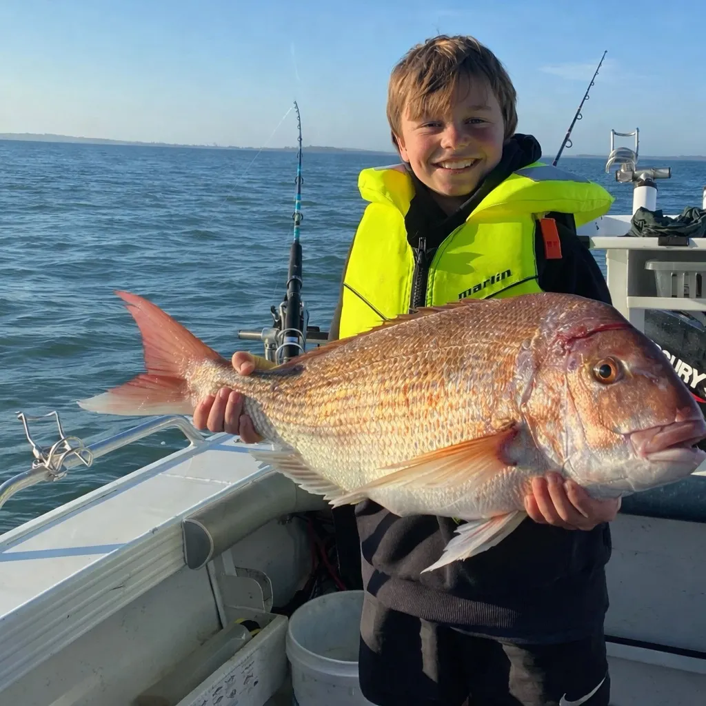 The most recent Australasian snapper catches on Fishbrain