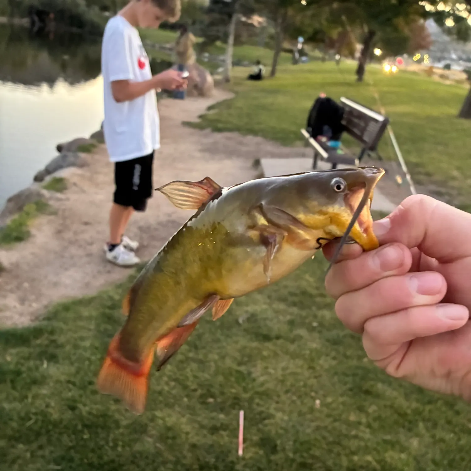 catch