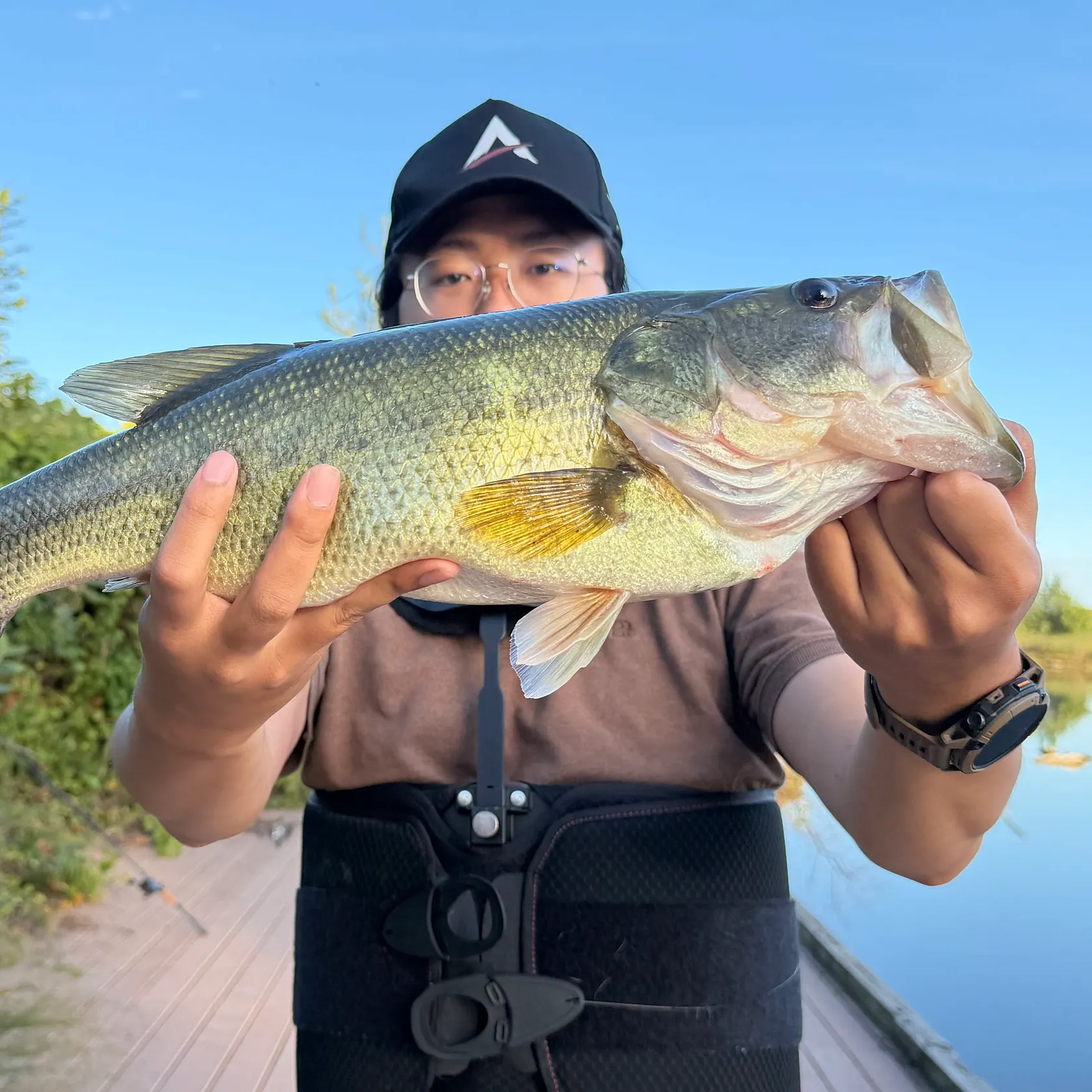 Largemouth bass caught on Fishbrain