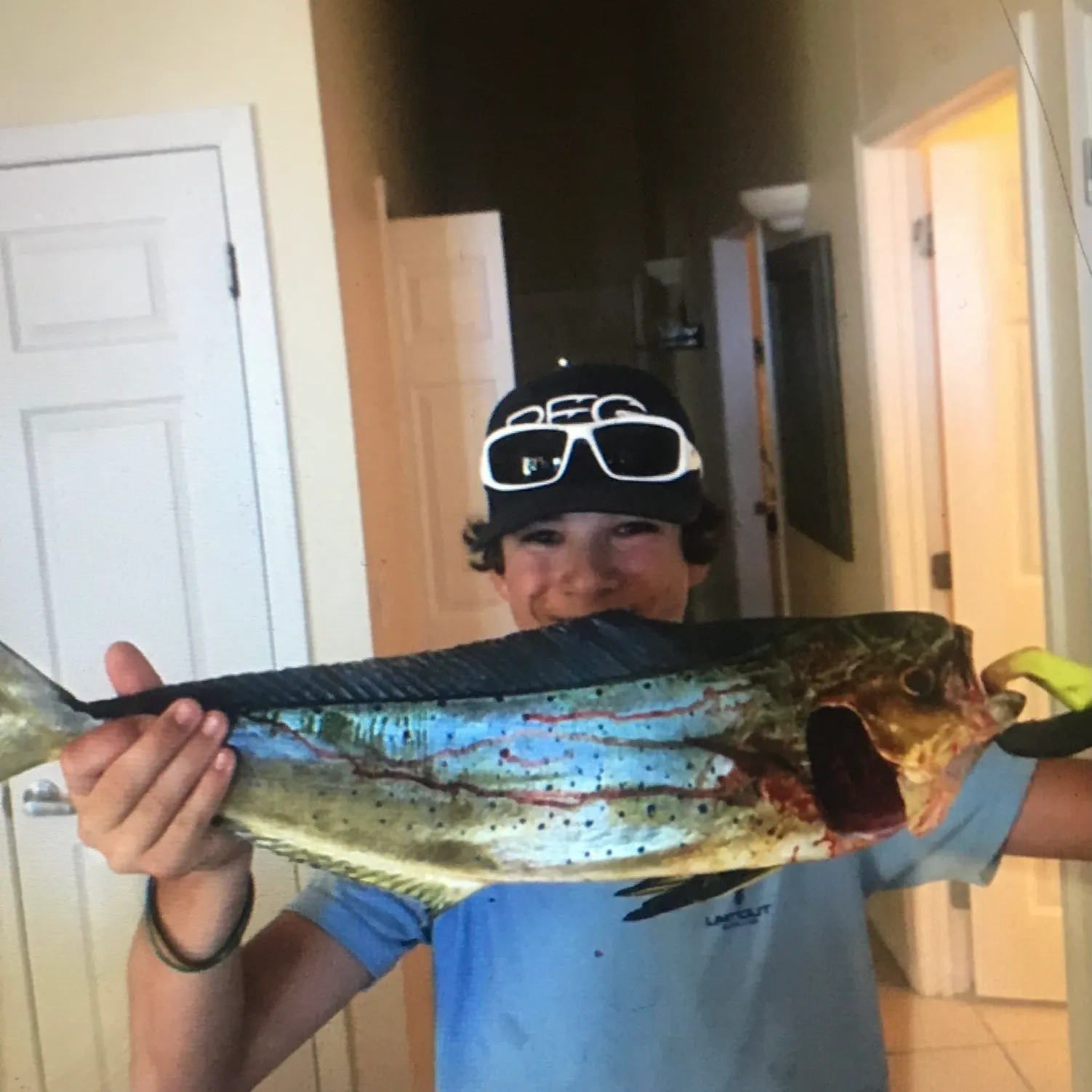 The most recent Common dolphinfish catches on Fishbrain