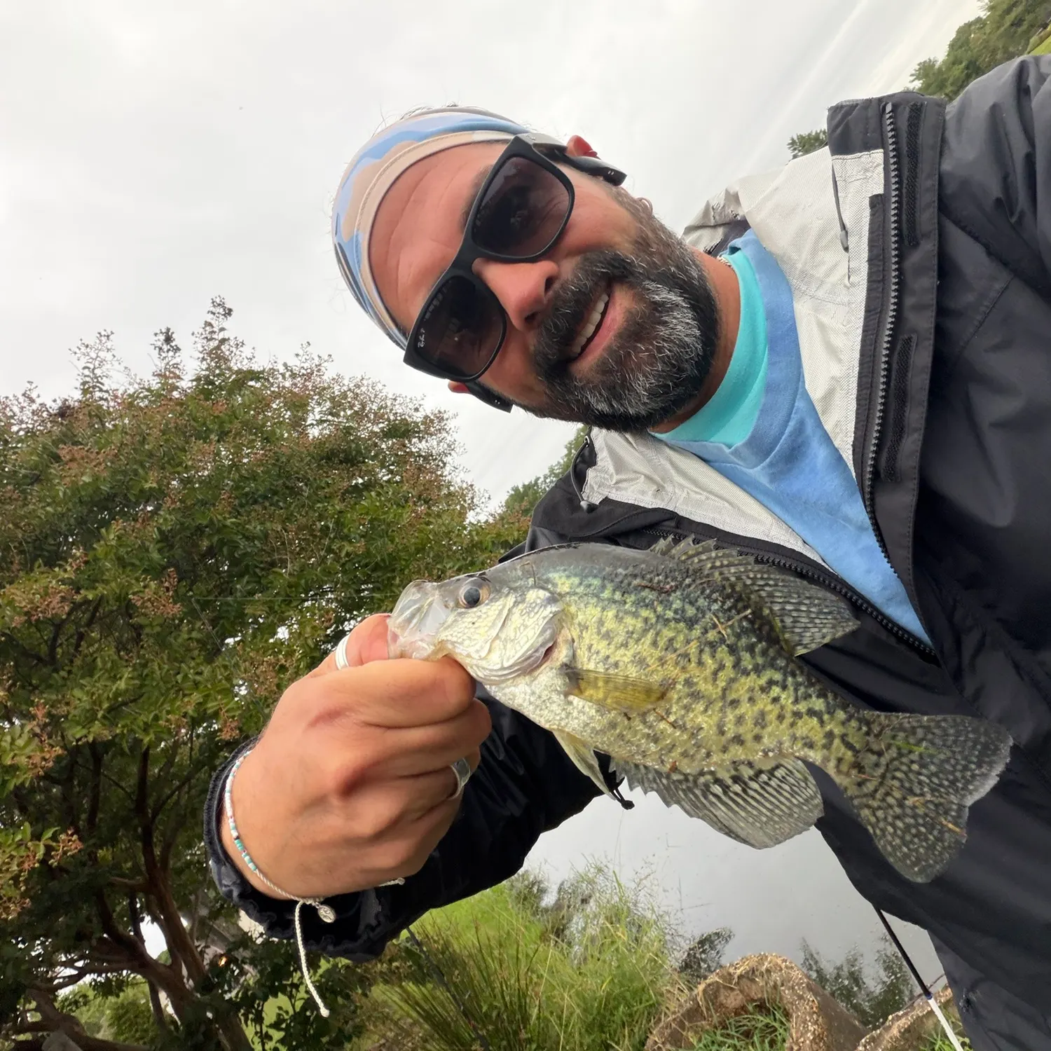 Black crappie caught on Fishbrain