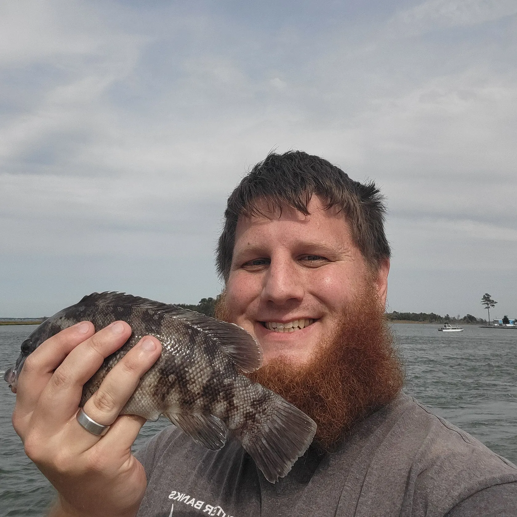 Tautog caught on Fishbrain