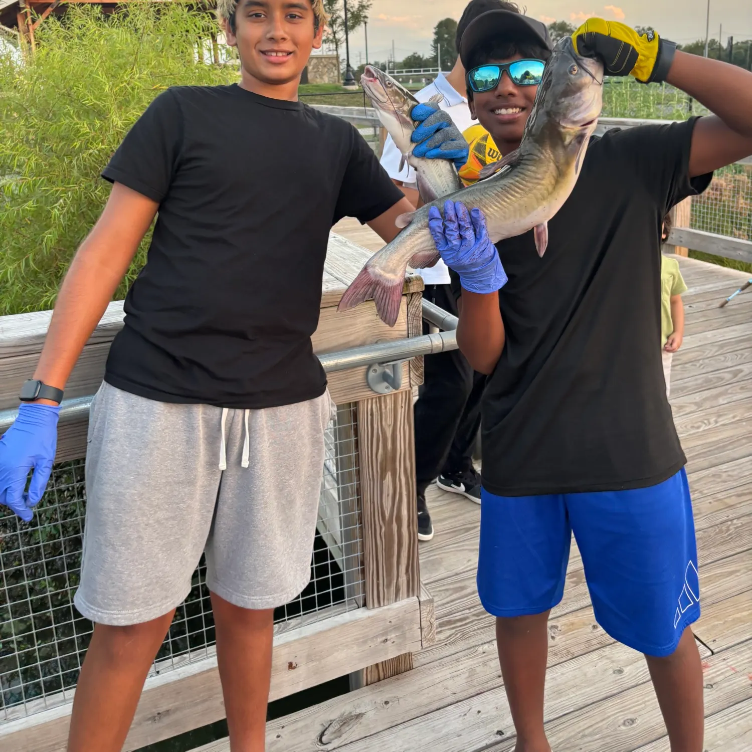 Channel catfish caught on Fishbrain
