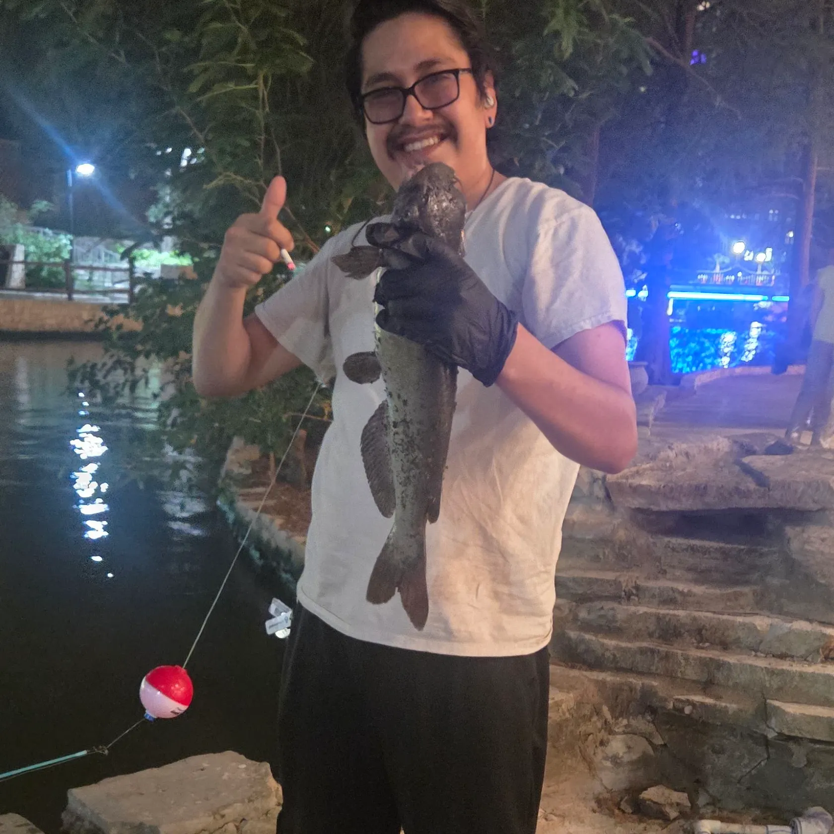 Channel catfish caught on Fishbrain
