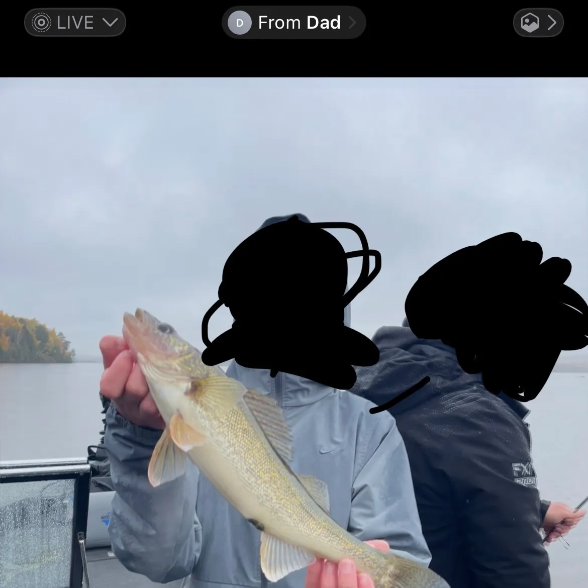 Walleye caught on Fishbrain