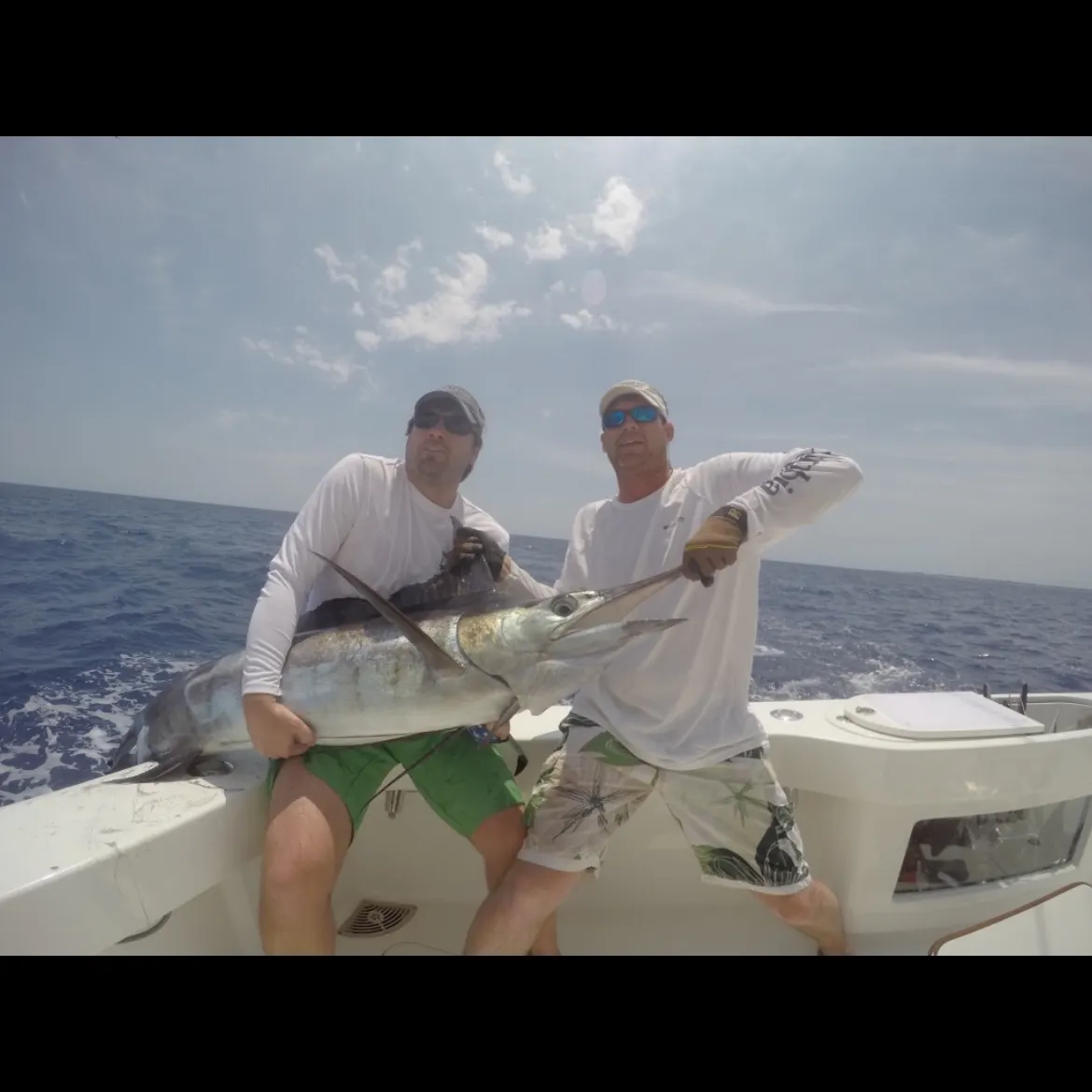 The most recent Indo-Pacific blue marlin catches on Fishbrain