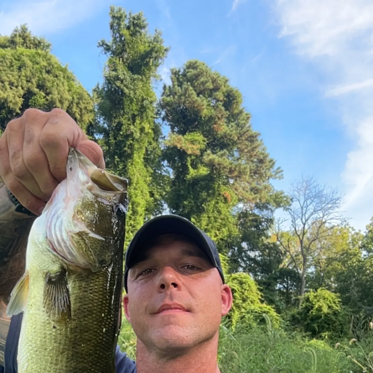 Largemouth bass caught on Fishbrain