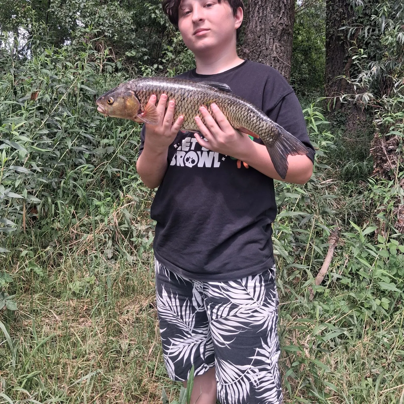 The most recent European chub catches on Fishbrain