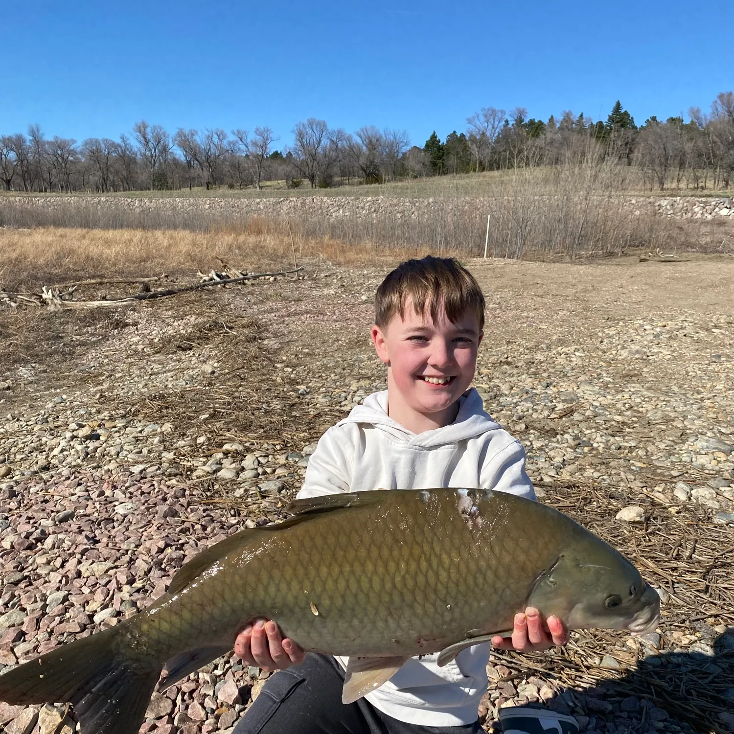 Black buffalo caught on Fishbrain