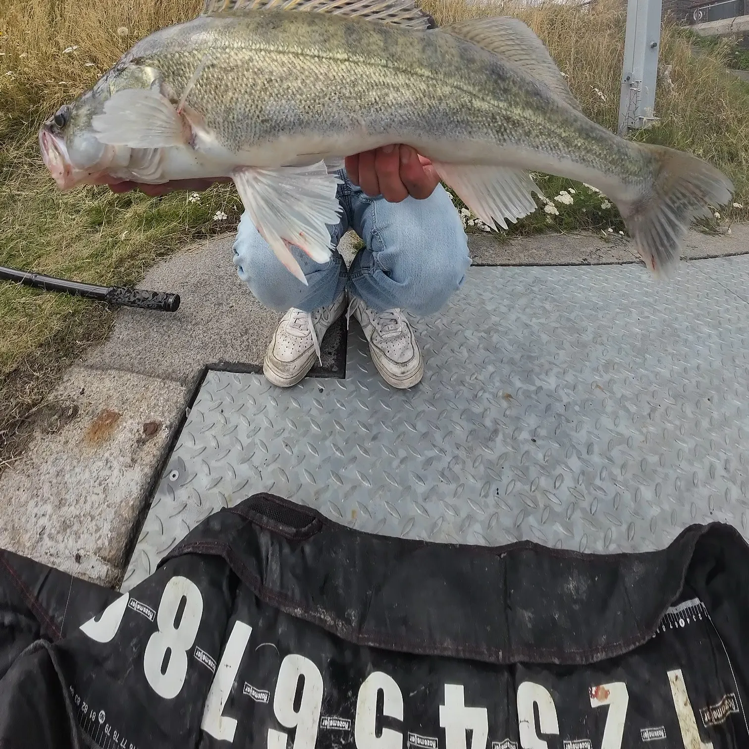 The most recent Zander catches on Fishbrain