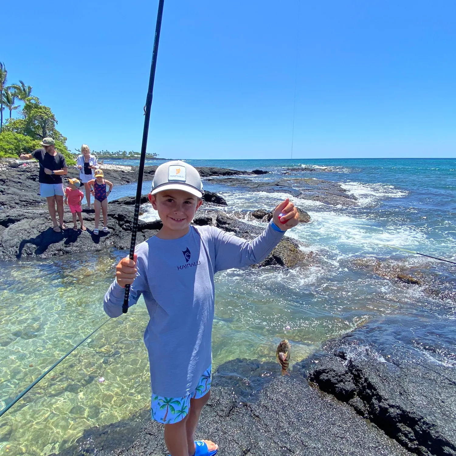 The most recent Stocky hawkfish catches on Fishbrain