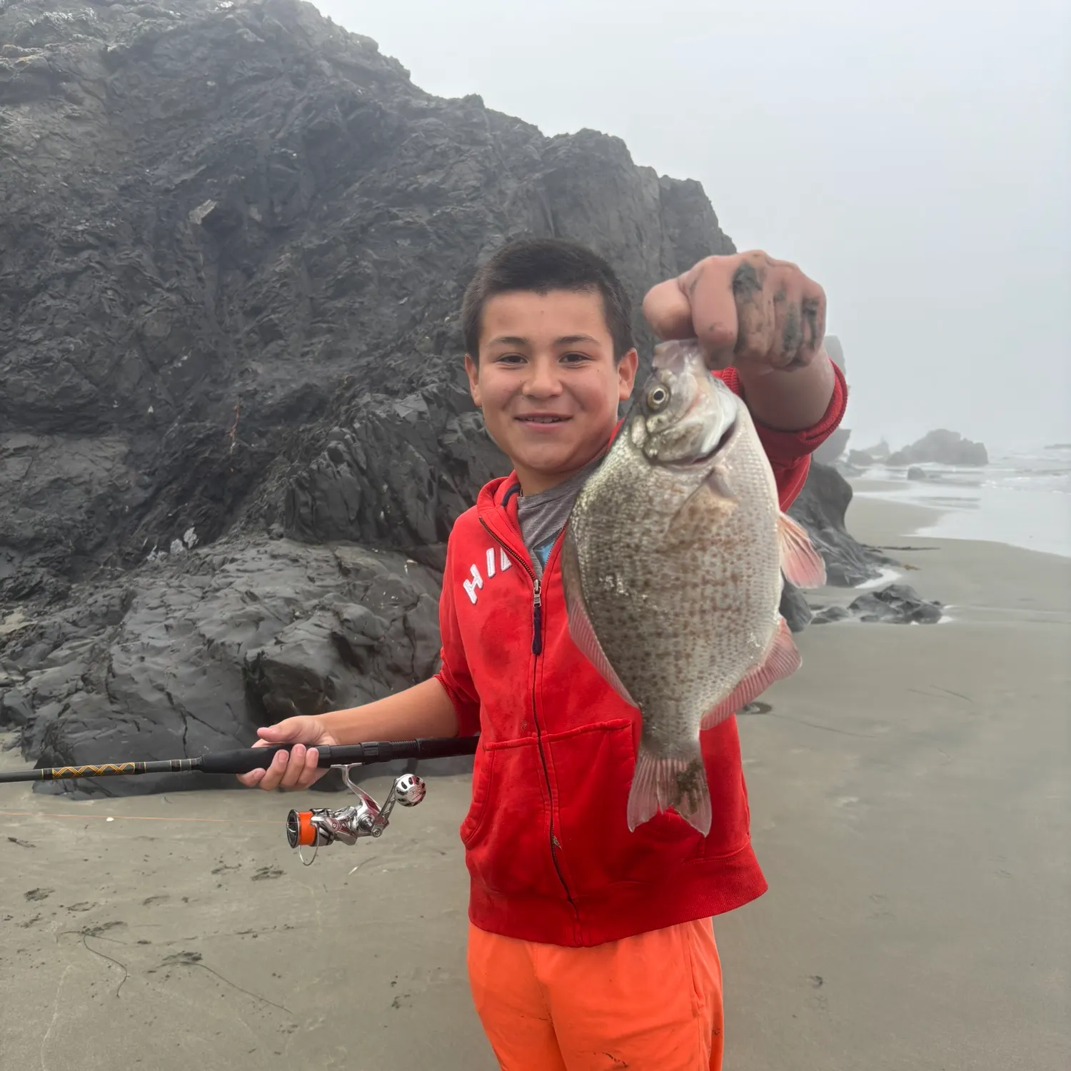 The most recent Calico surfperch catches on Fishbrain