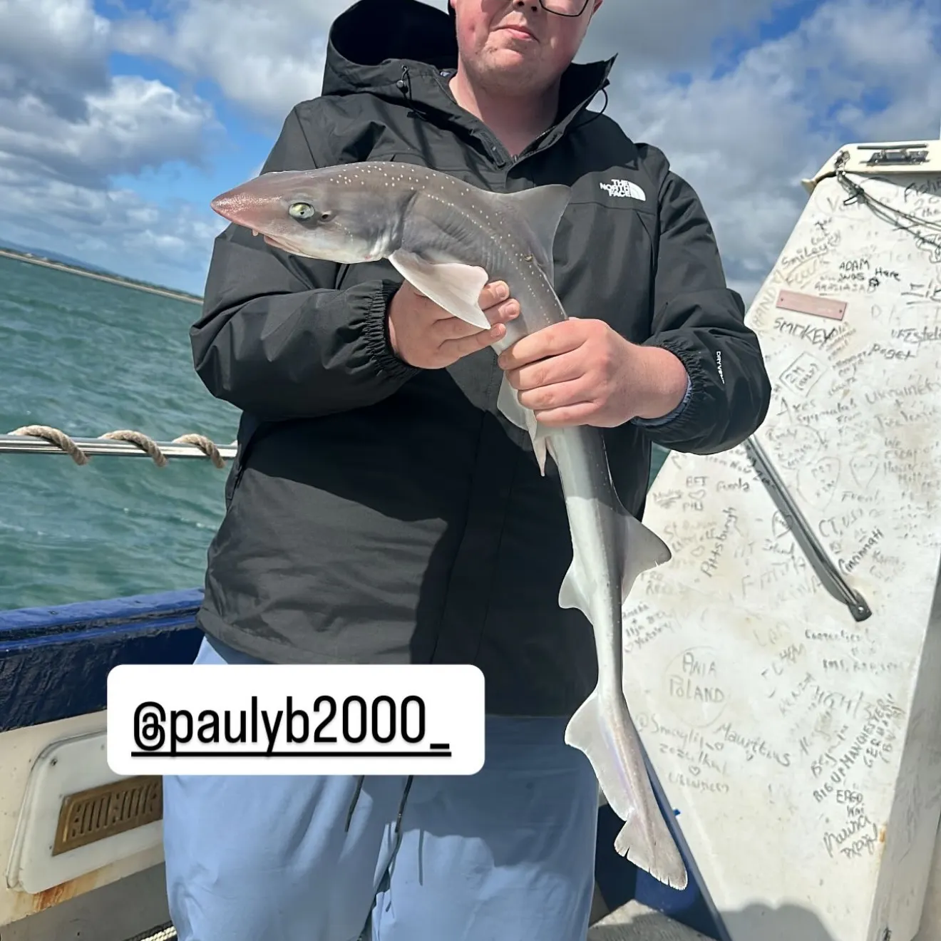 The most recent Common smooth-hound catches on Fishbrain