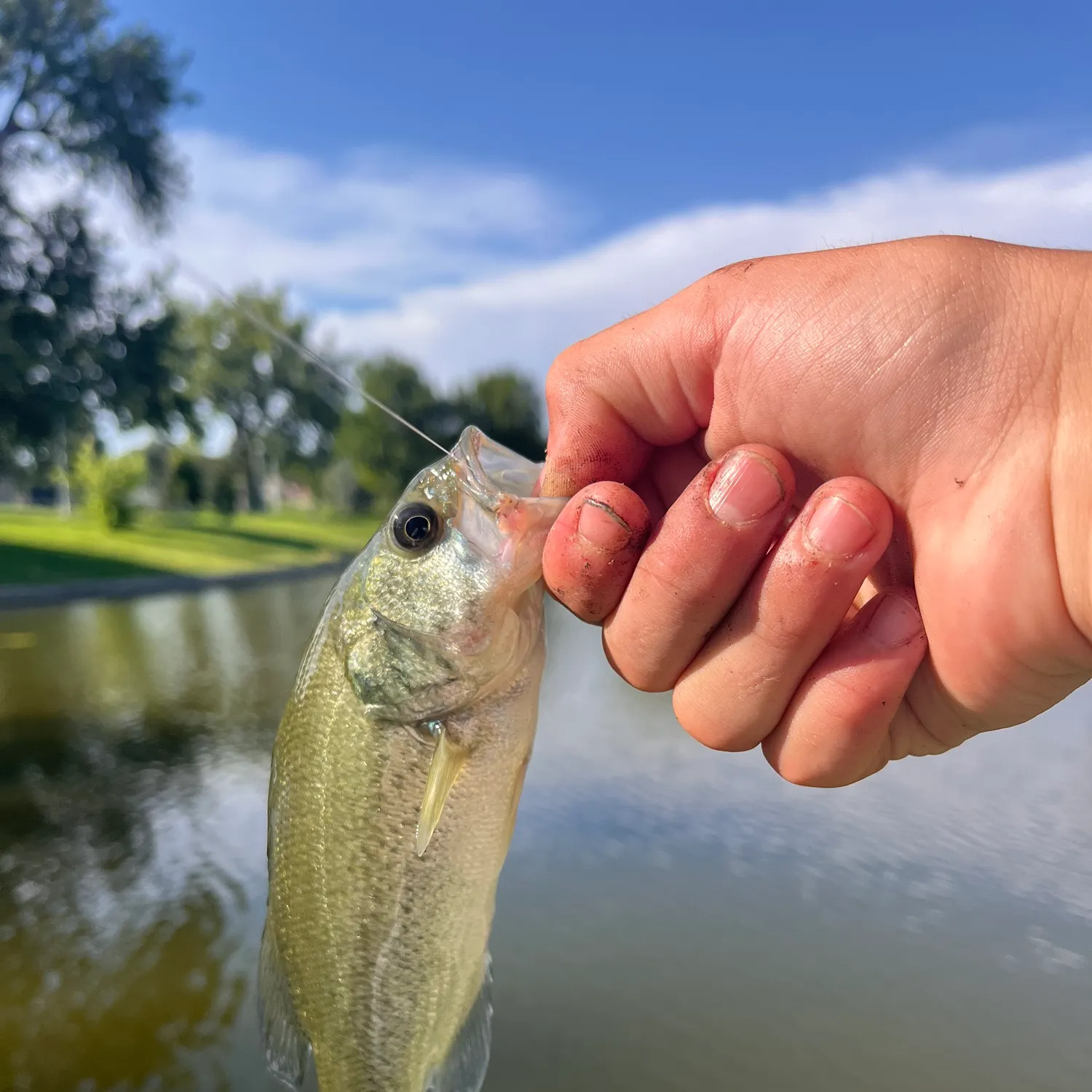 catch