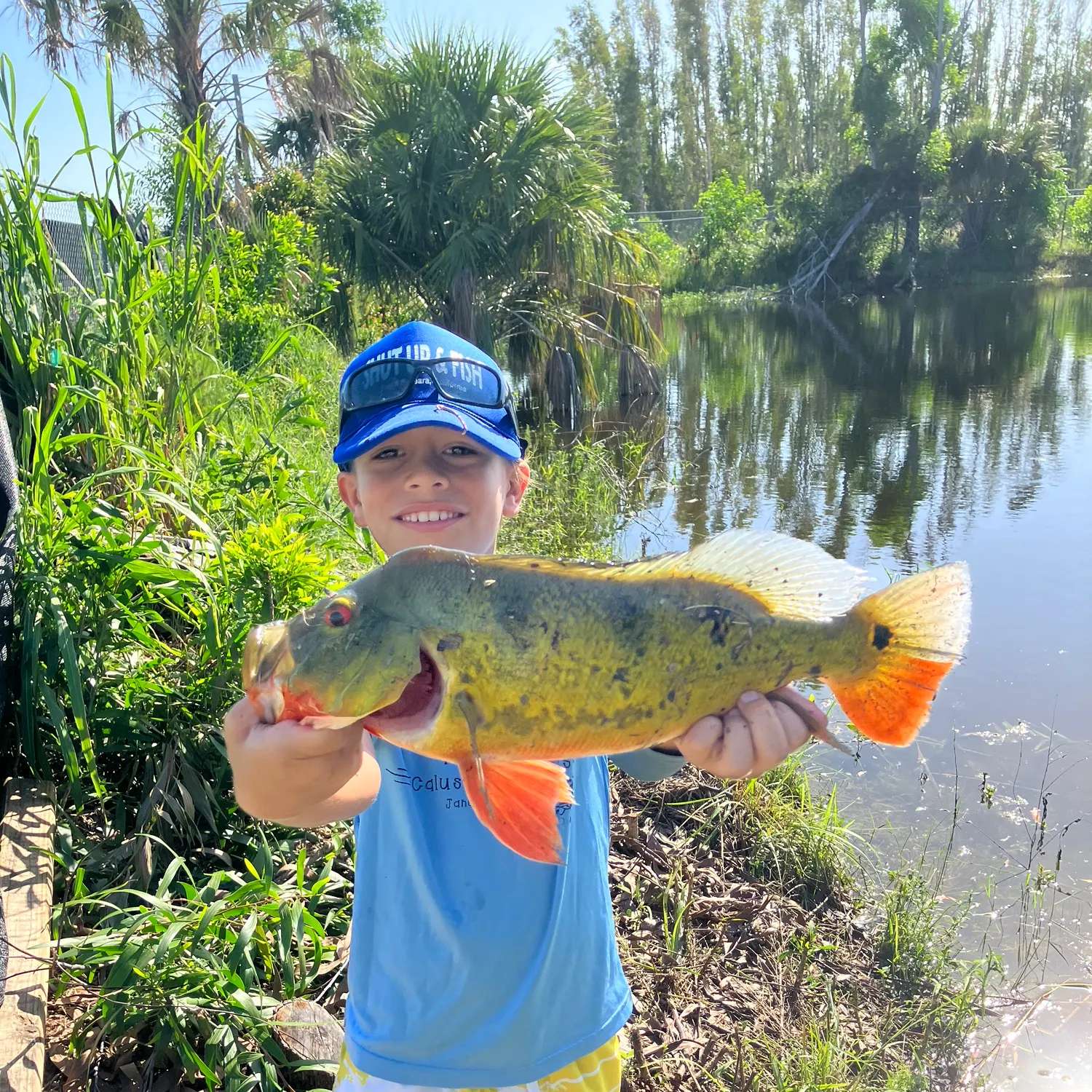 The most recent Speckled peacock bass catches on Fishbrain