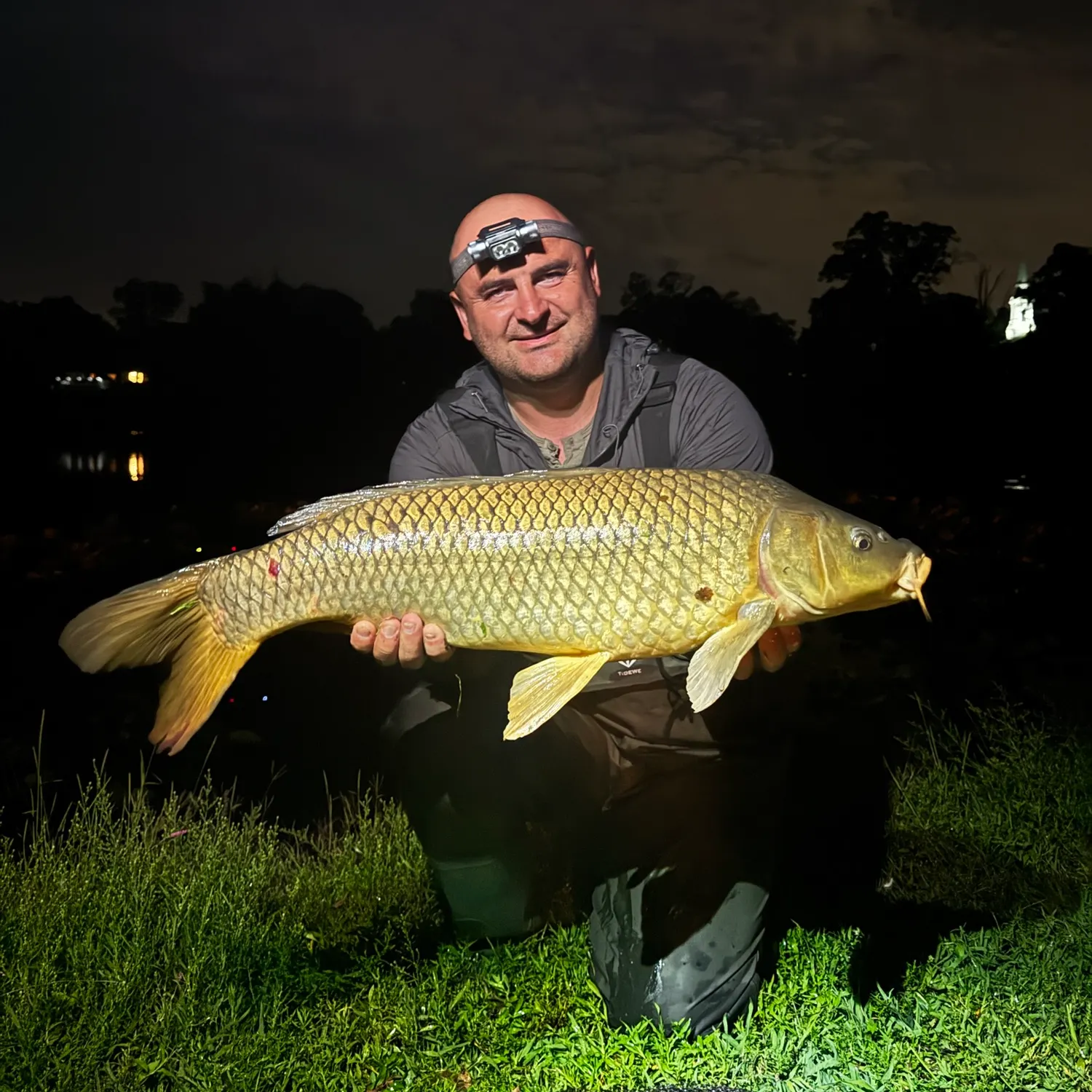 Common carp caught on Fishbrain