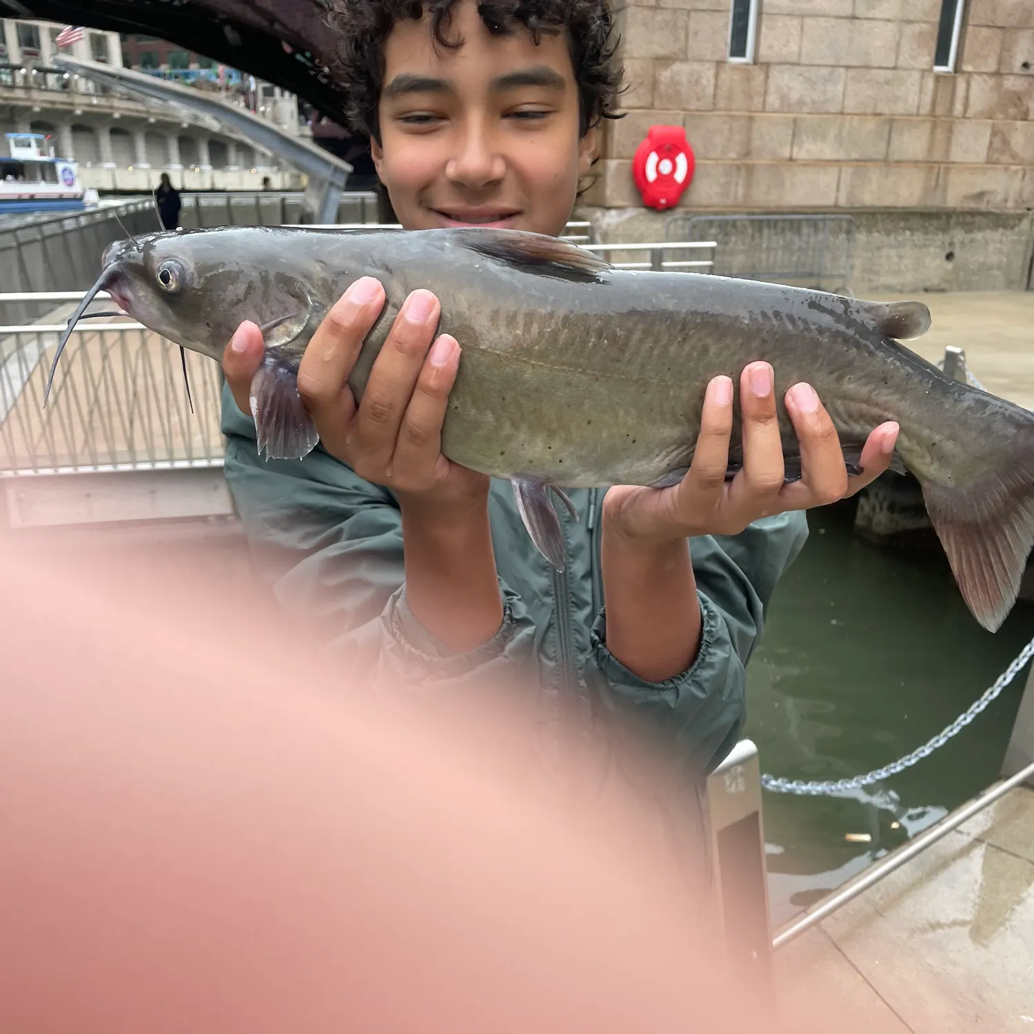 Channel catfish caught on Fishbrain