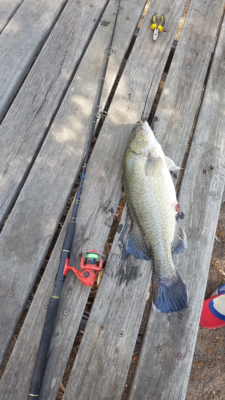 Post image from benwelsh02