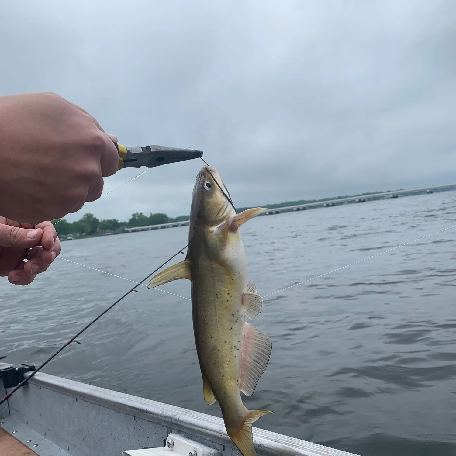 catch