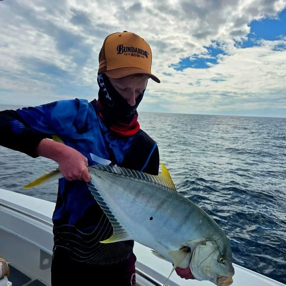 The most recent Golden trevally catches on Fishbrain