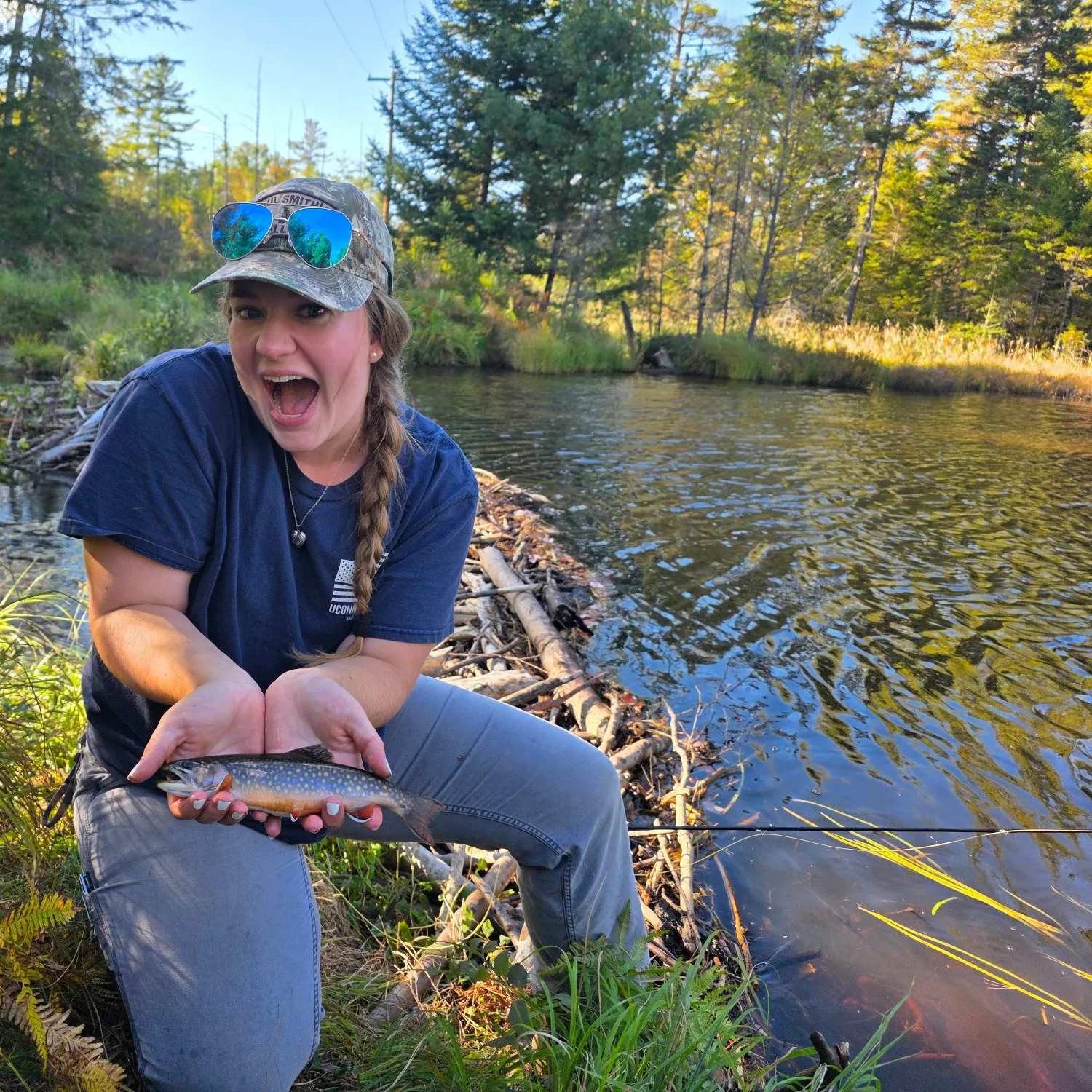Brook trout caught on Fishbrain