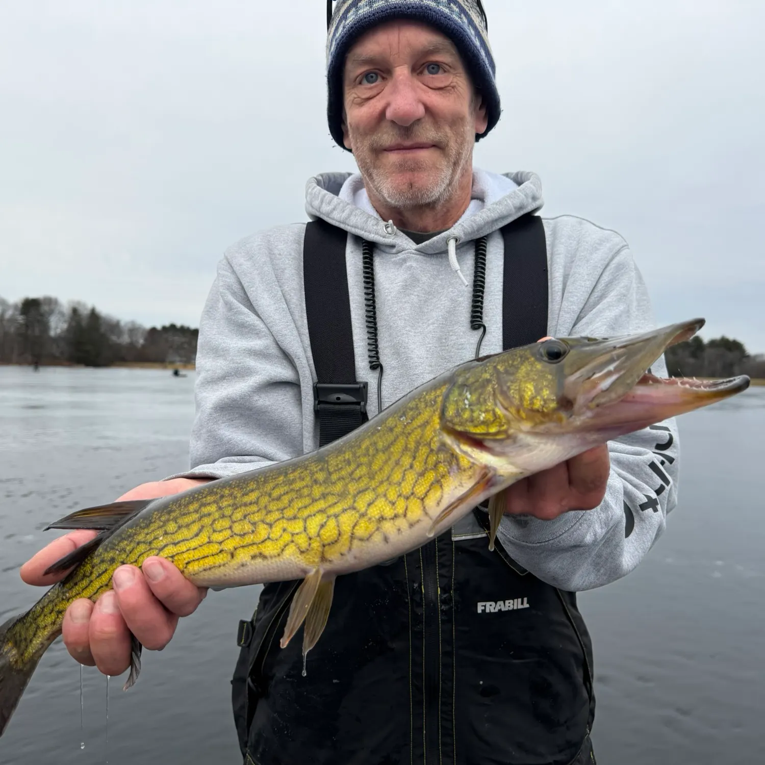 The most recent Chain pickerel catches on Fishbrain