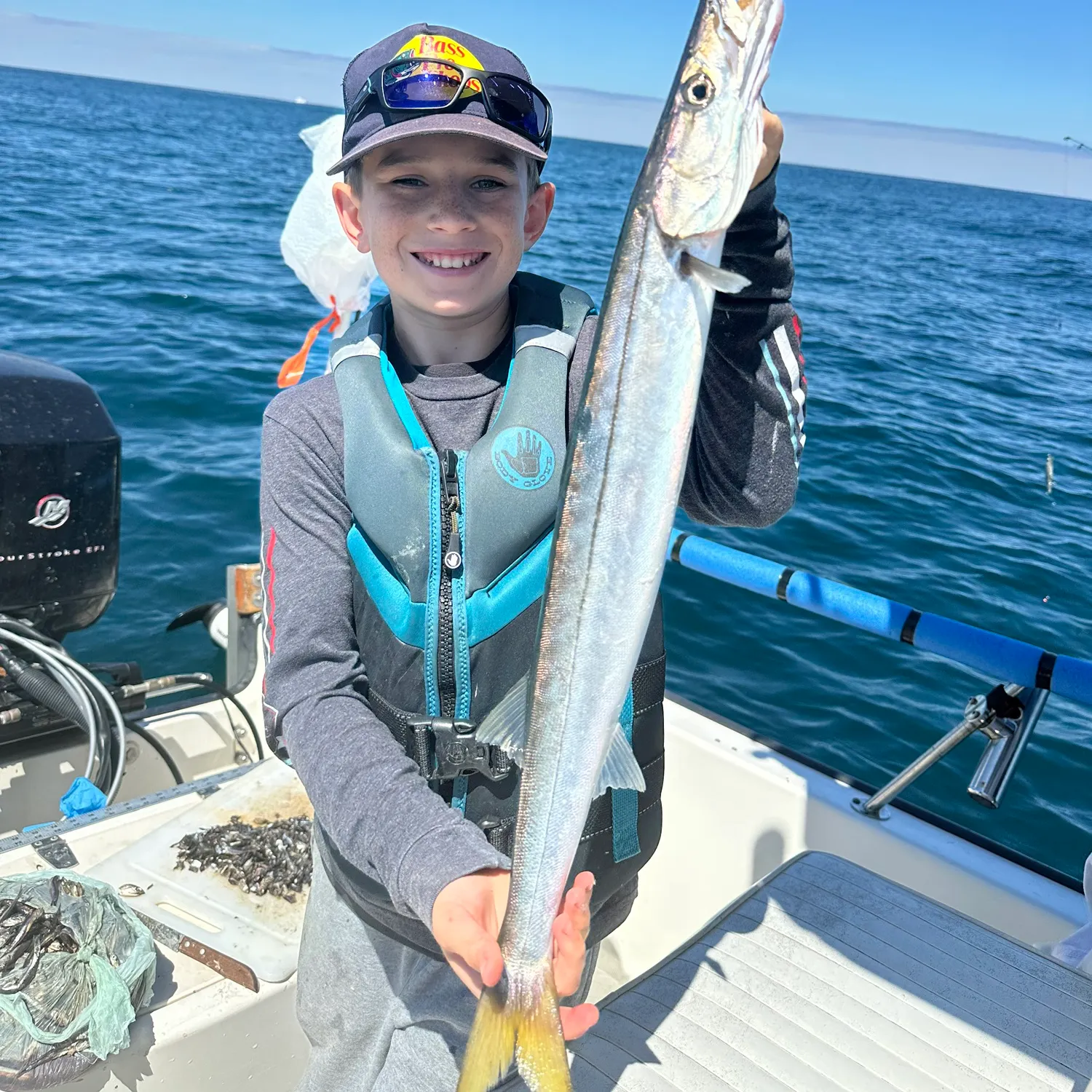 The most recent Pacific barracuda catches on Fishbrain