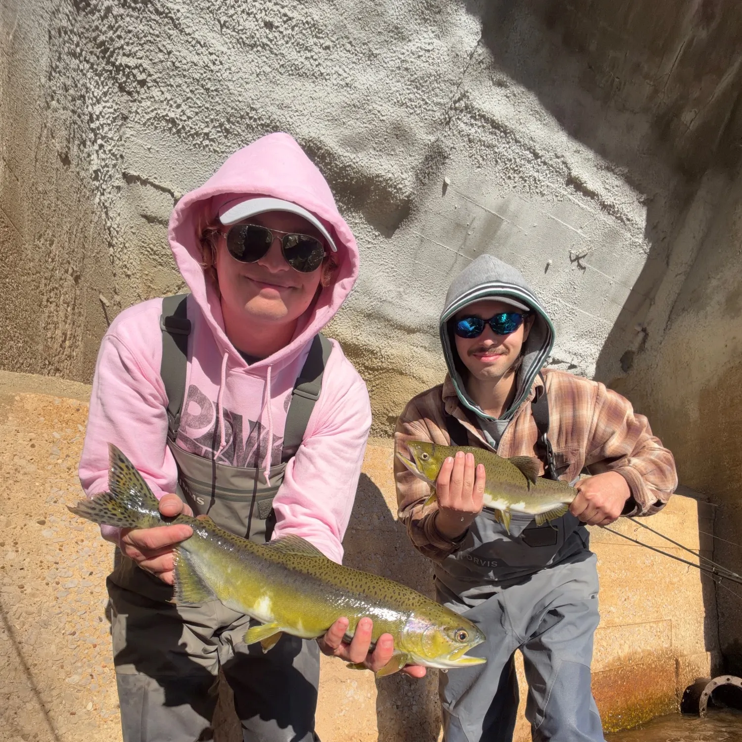Pink salmon caught on Fishbrain