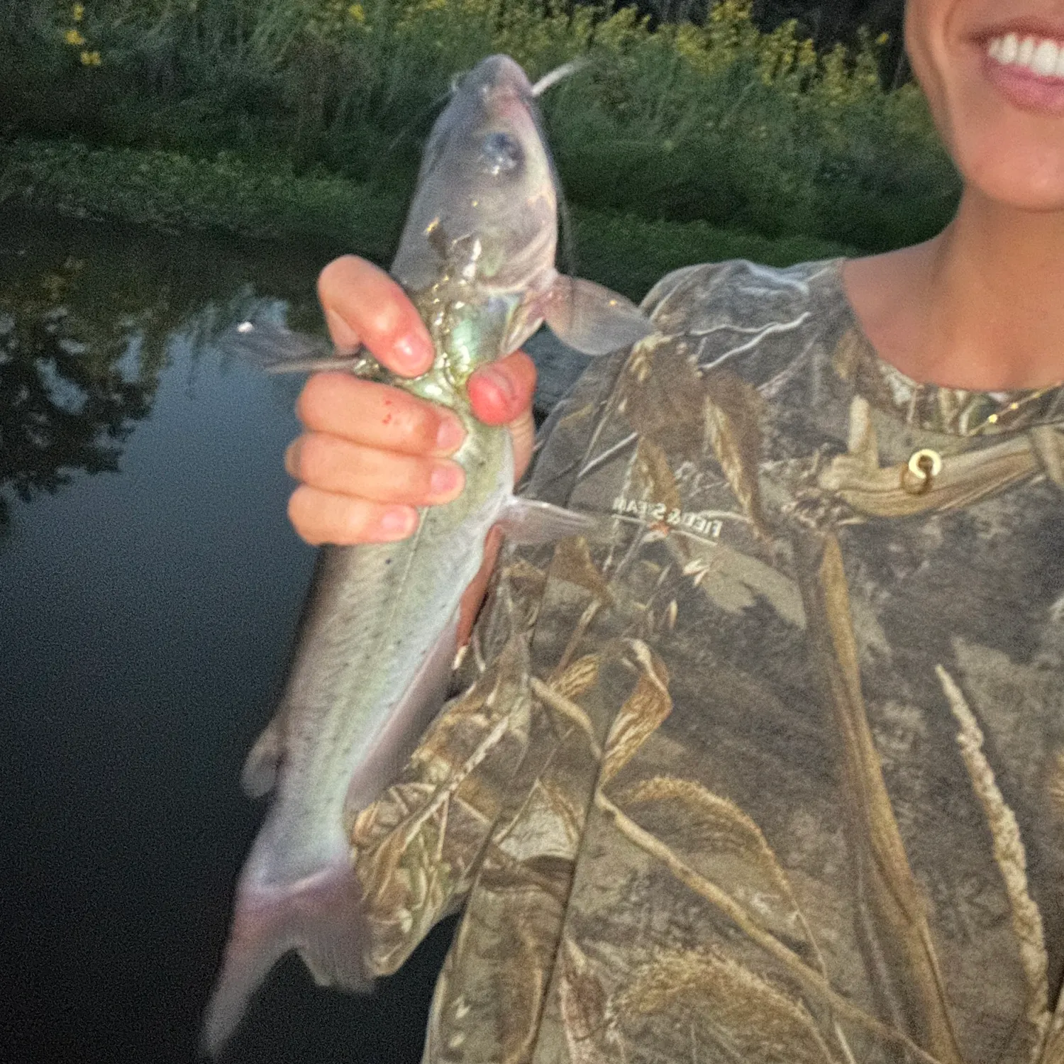 Channel catfish caught on Fishbrain