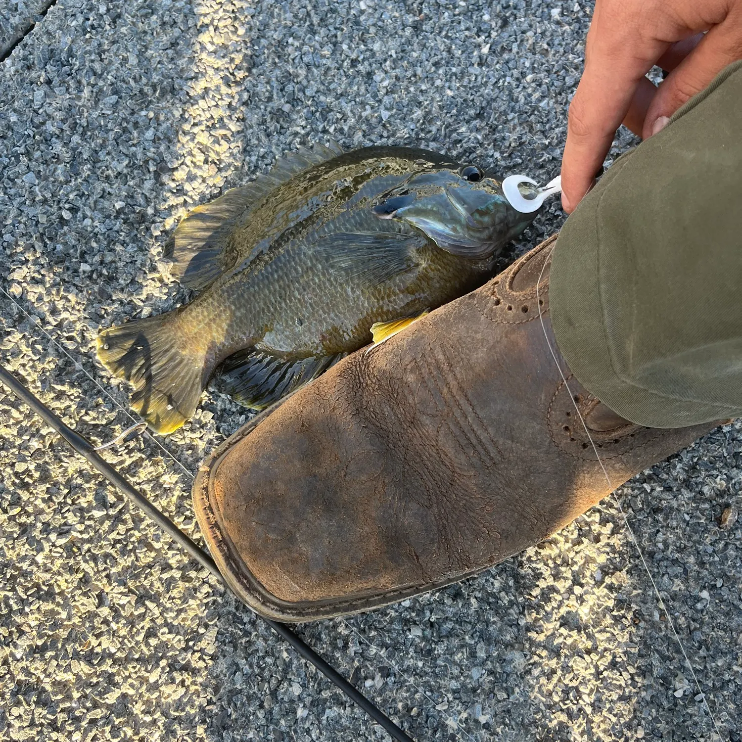 catch