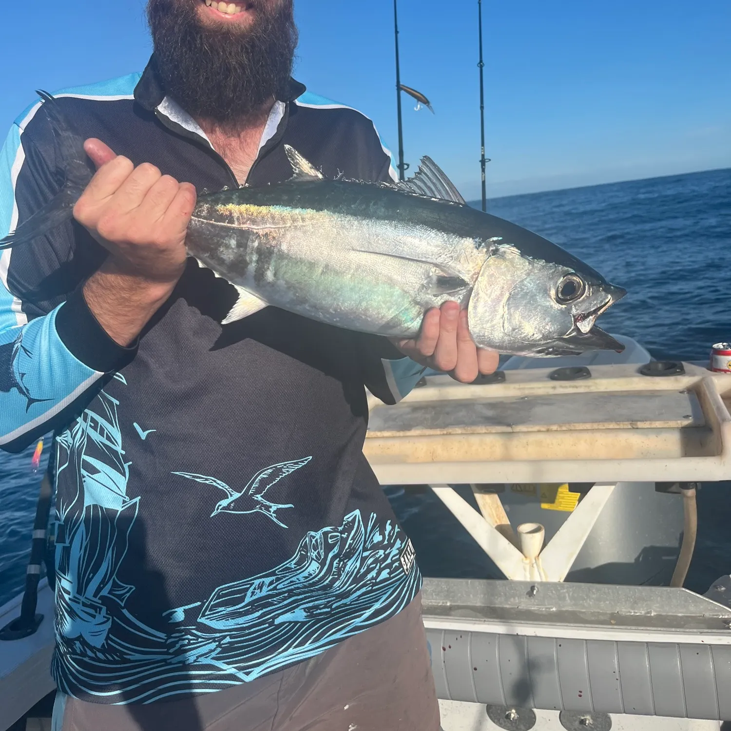 The most recent Southern bluefin tuna catches on Fishbrain