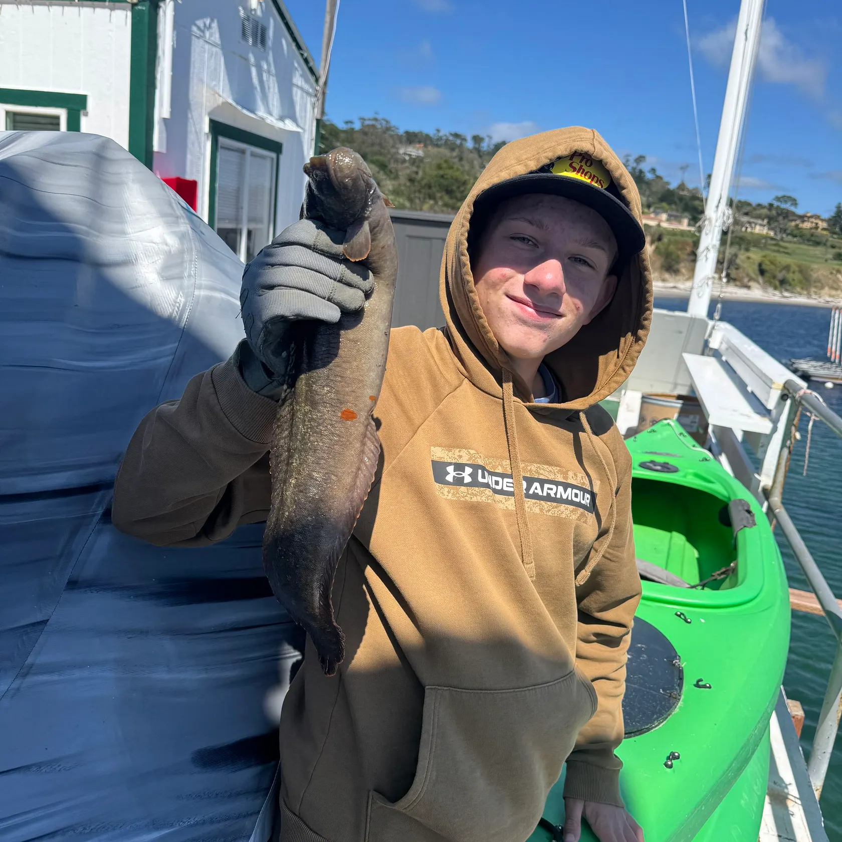 The most recent Monkeyface prickleback catches on Fishbrain