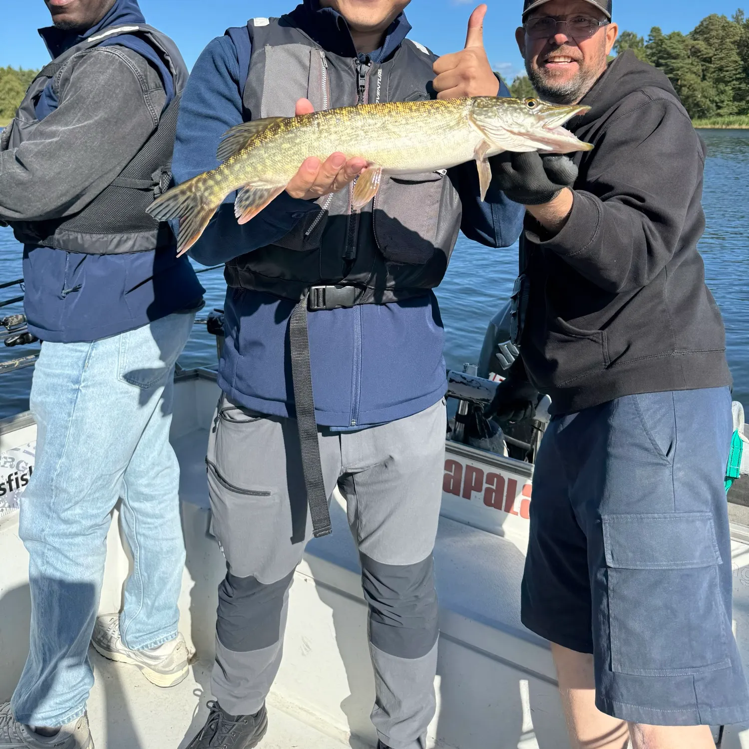 Northern pike caught on Fishbrain
