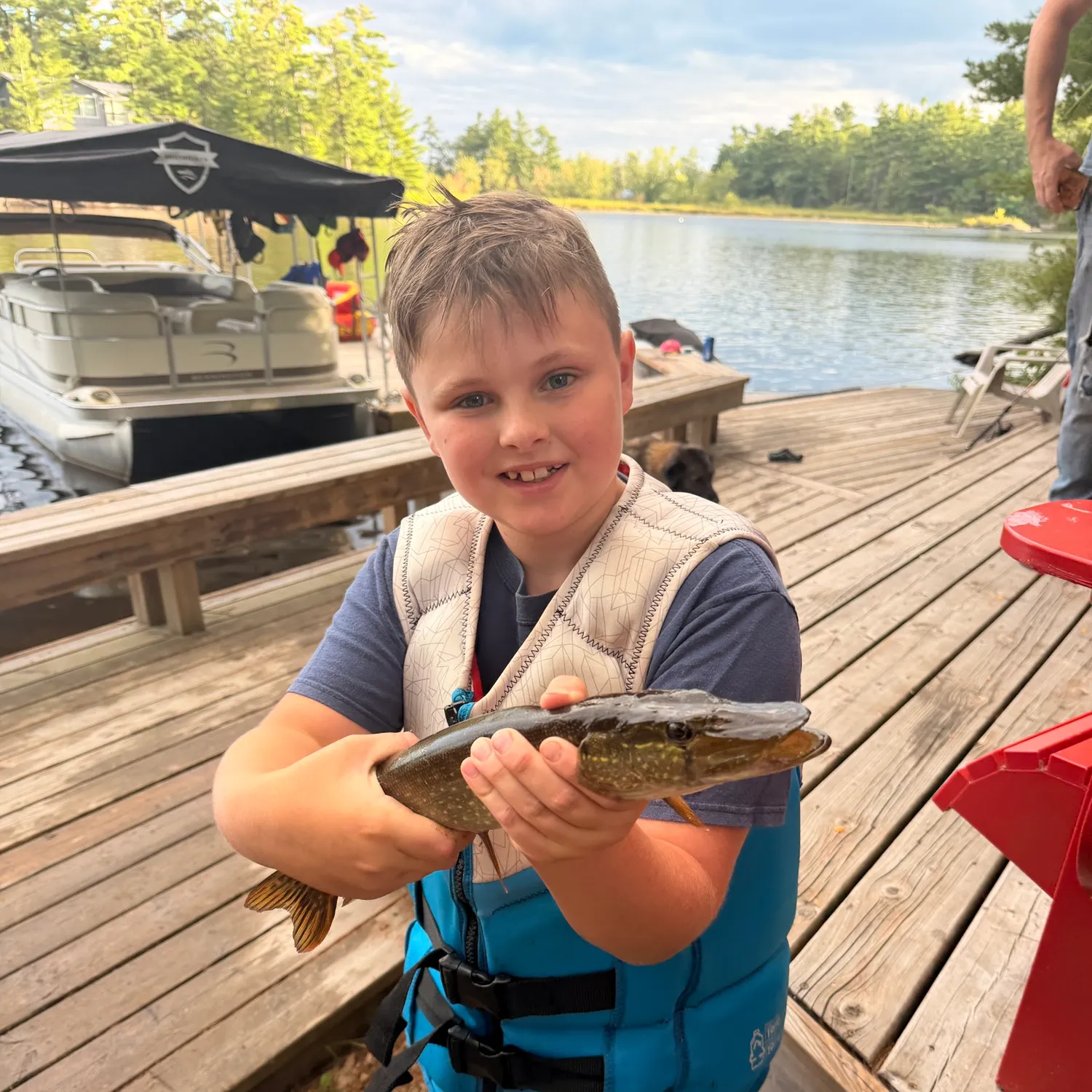 Northern pike caught on Fishbrain