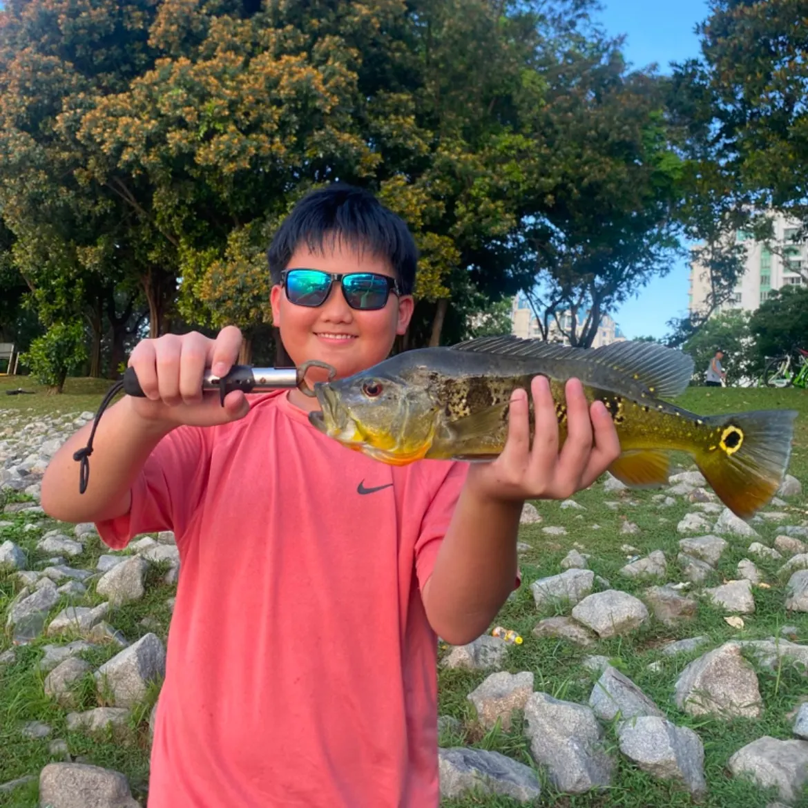 catch