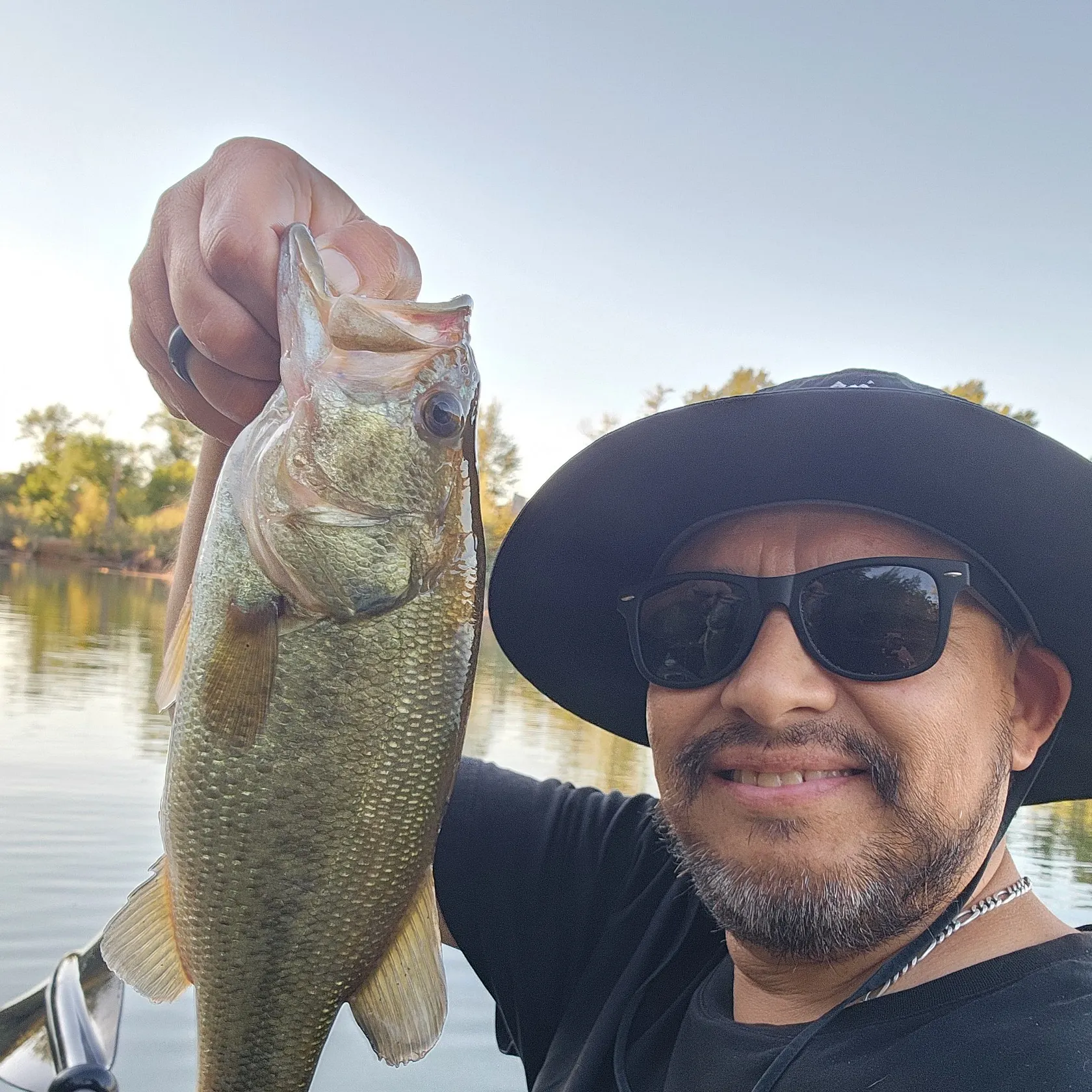 Largemouth bass caught on Fishbrain
