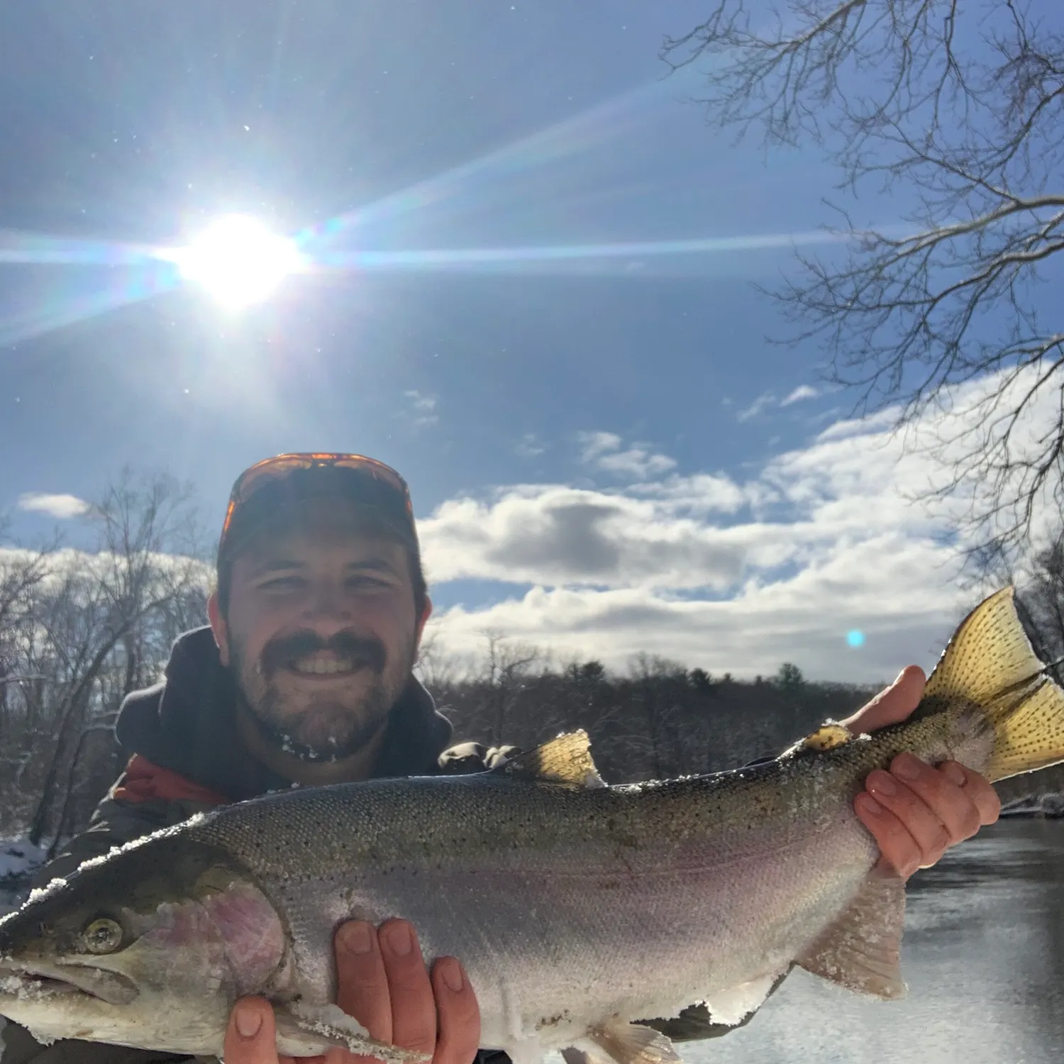The most recent Steelhead catches on Fishbrain