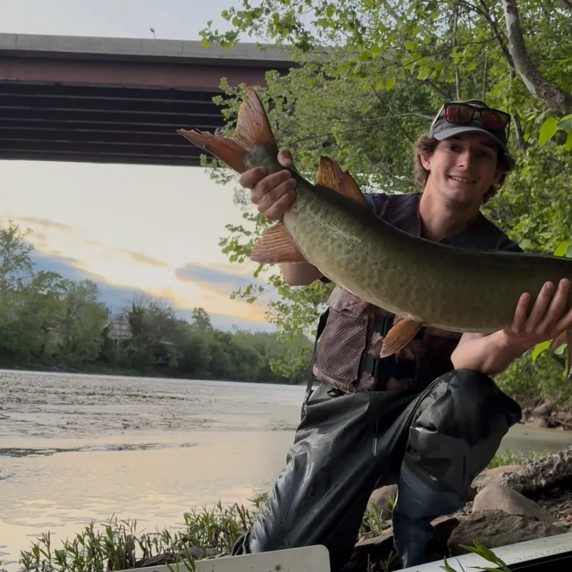 The most recent Muskellunge catches on Fishbrain