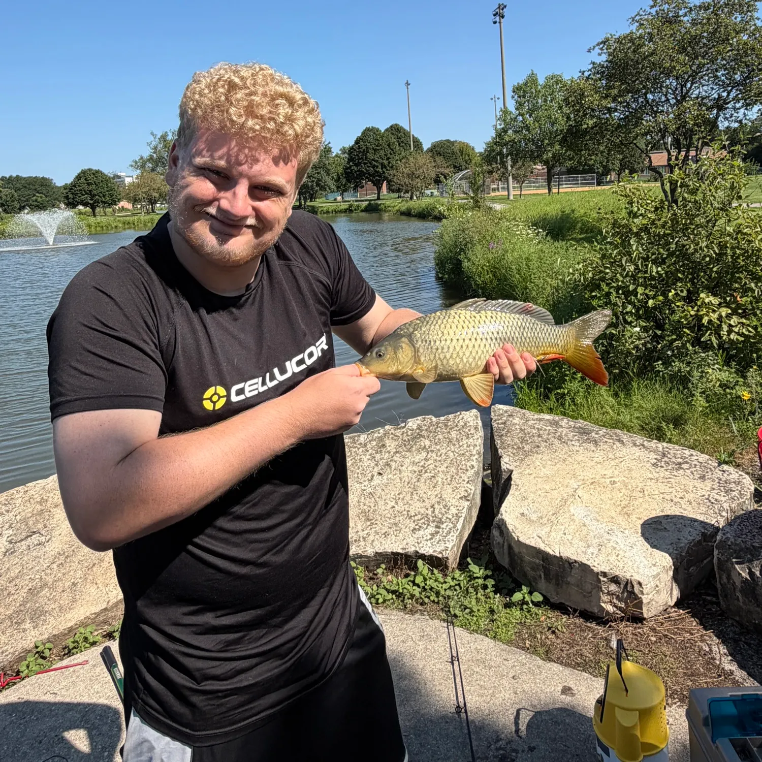 Common carp caught on Fishbrain