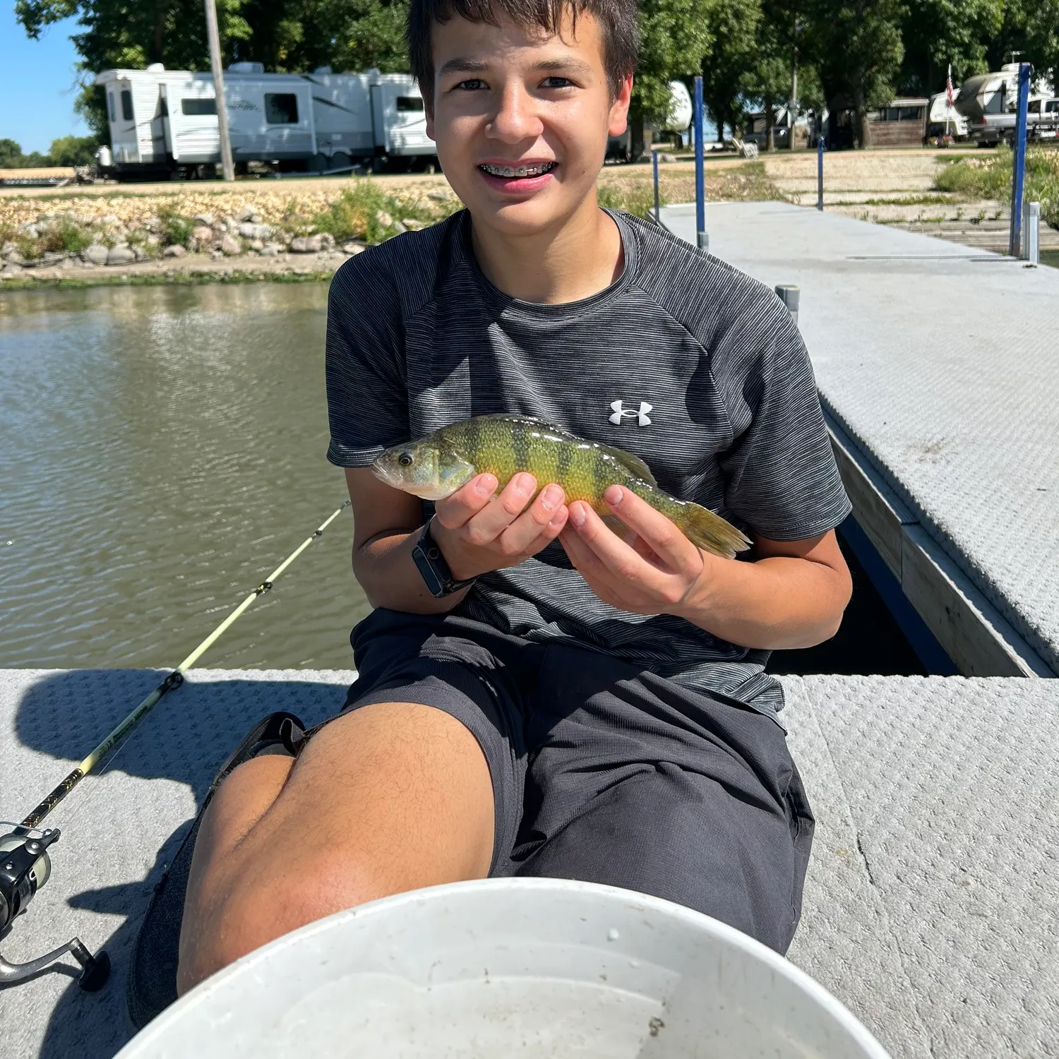 Yellow perch caught on Fishbrain